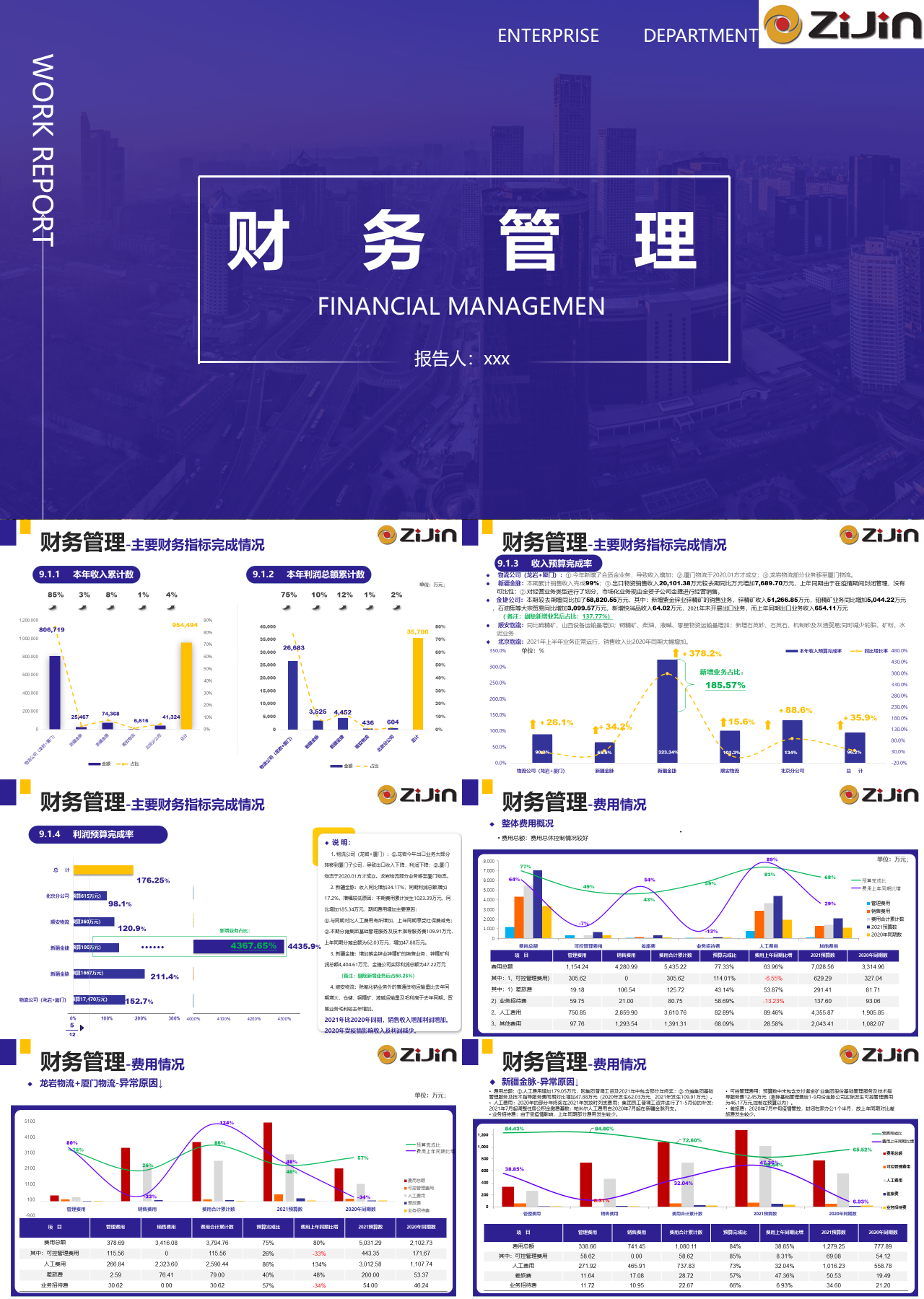 标准静态紫色财务管理工作汇报