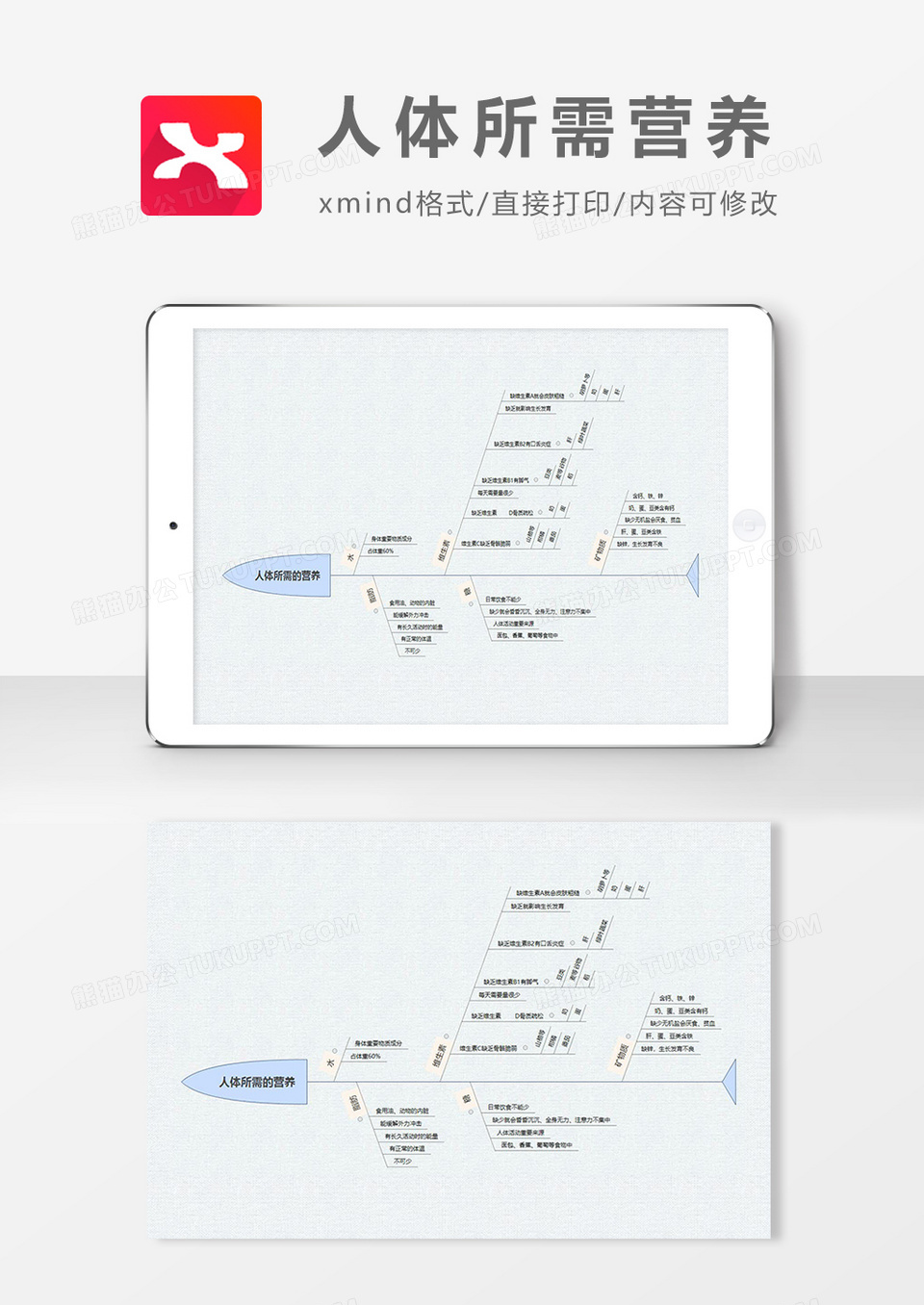 思维导图人体所需营养XMind模板