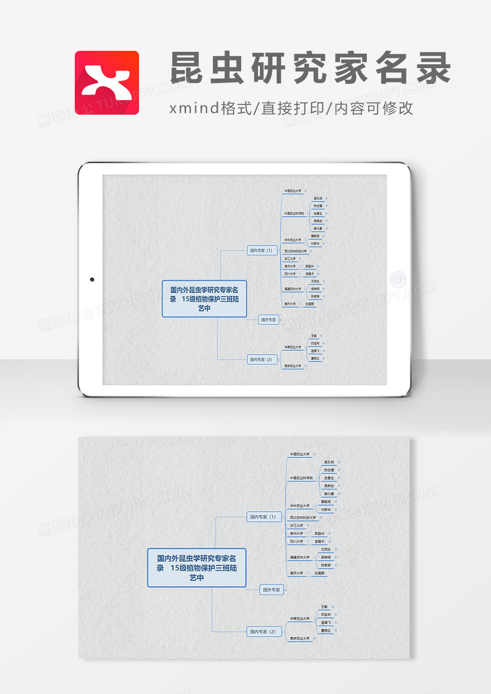 思维导图昆虫研究家名录XMind模板