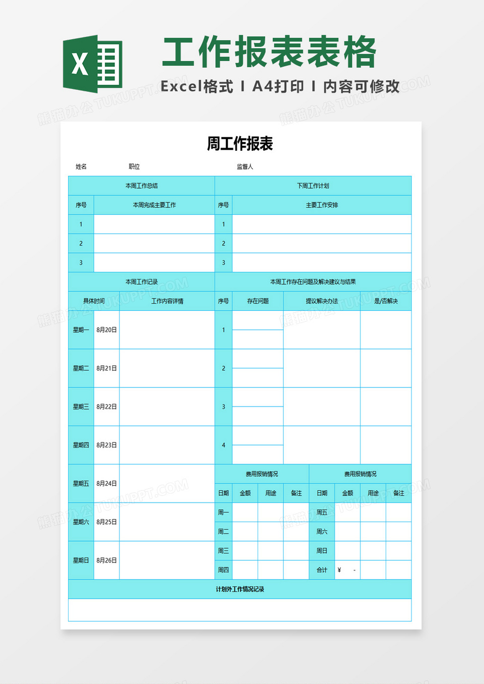 周工作实施报表