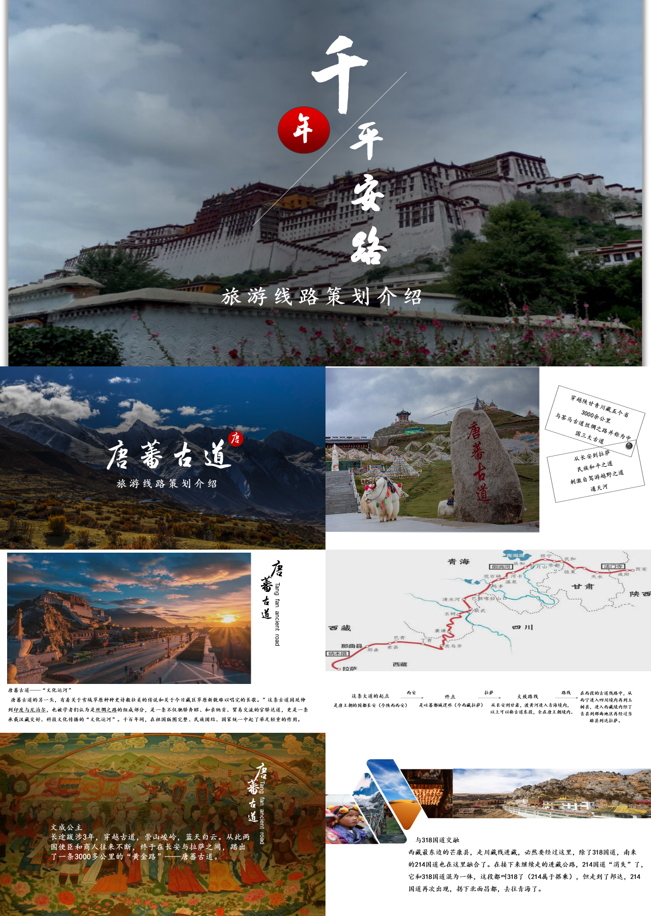 标准动态灰色旅游公司营销方案旅游线路策划