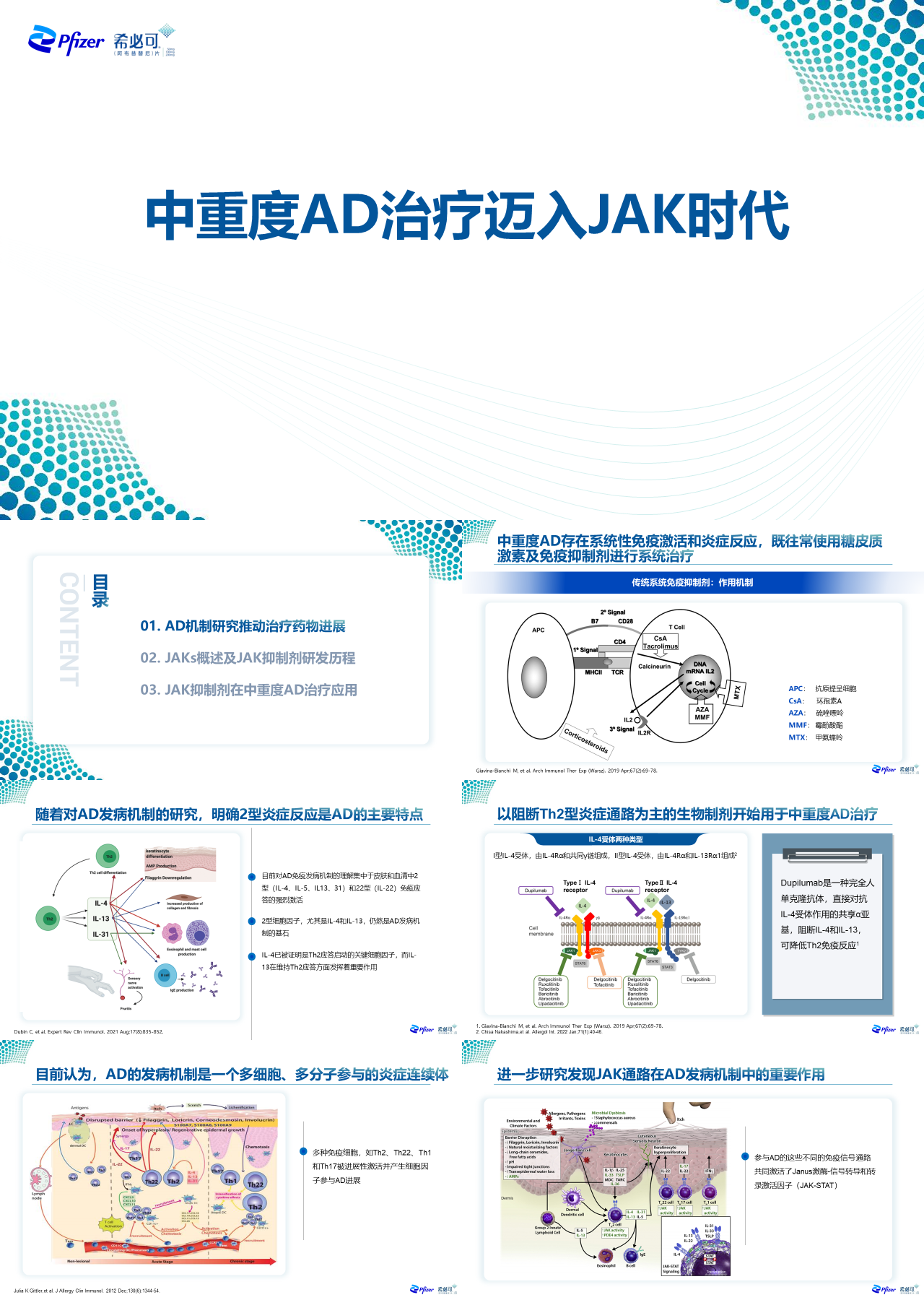 简单动态灰色医学汇报中重度AD治疗迈入JAK时代