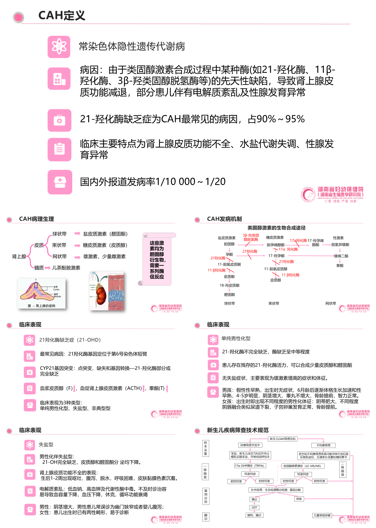 简单静态粉色医学汇报CAH常染色体隐性遗传代谢病