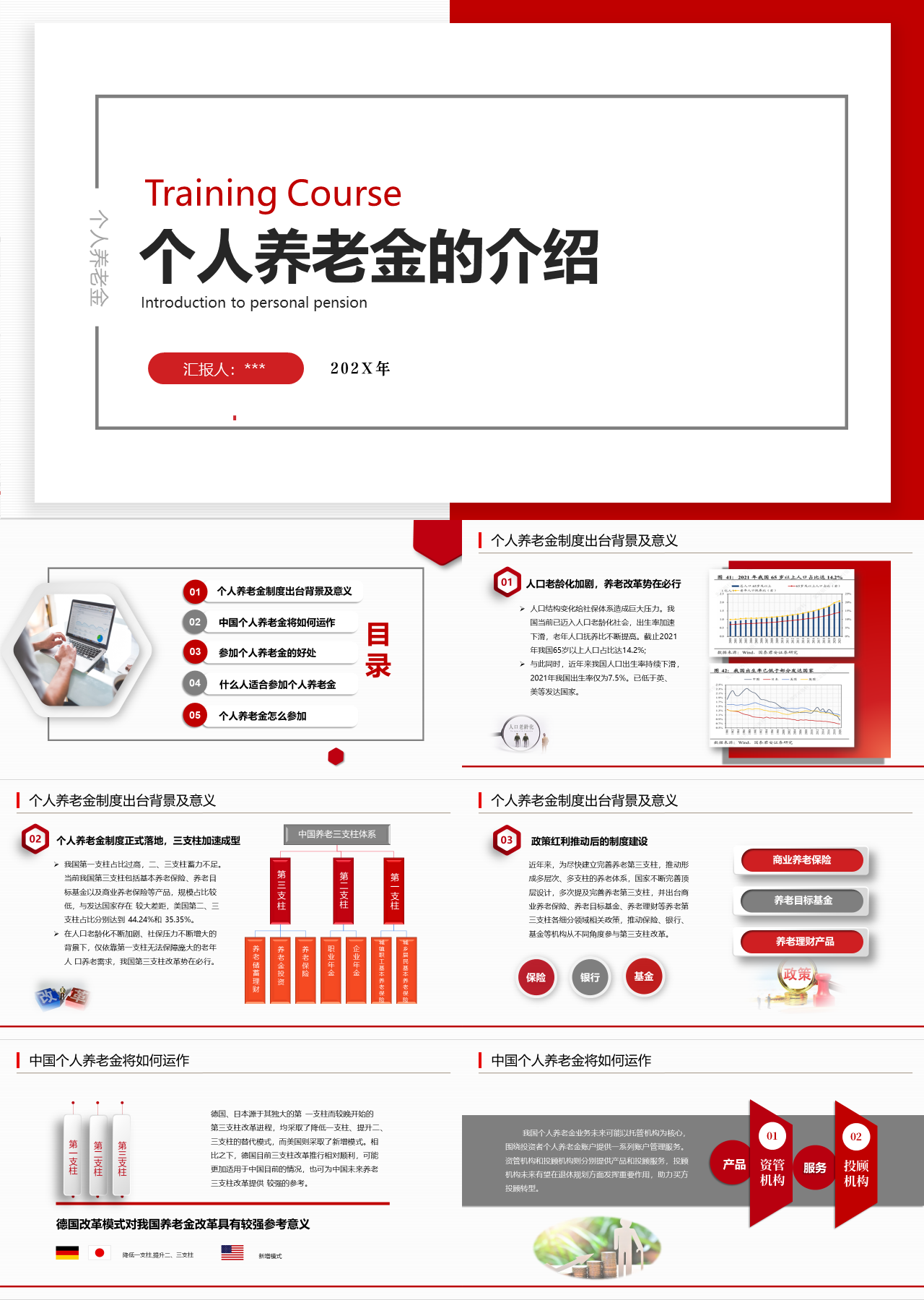 标准静态红色个人养老金的介绍