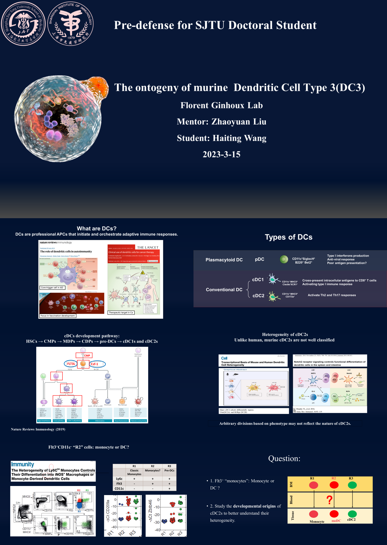 标准动态深蓝色纯英文论文答辩The ontogeny of murine  Dendritic Cell Type 3(DC3)