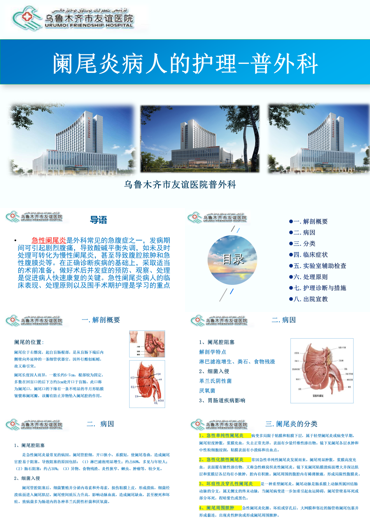 简单动态灰色医学汇报阑尾炎病人的护理