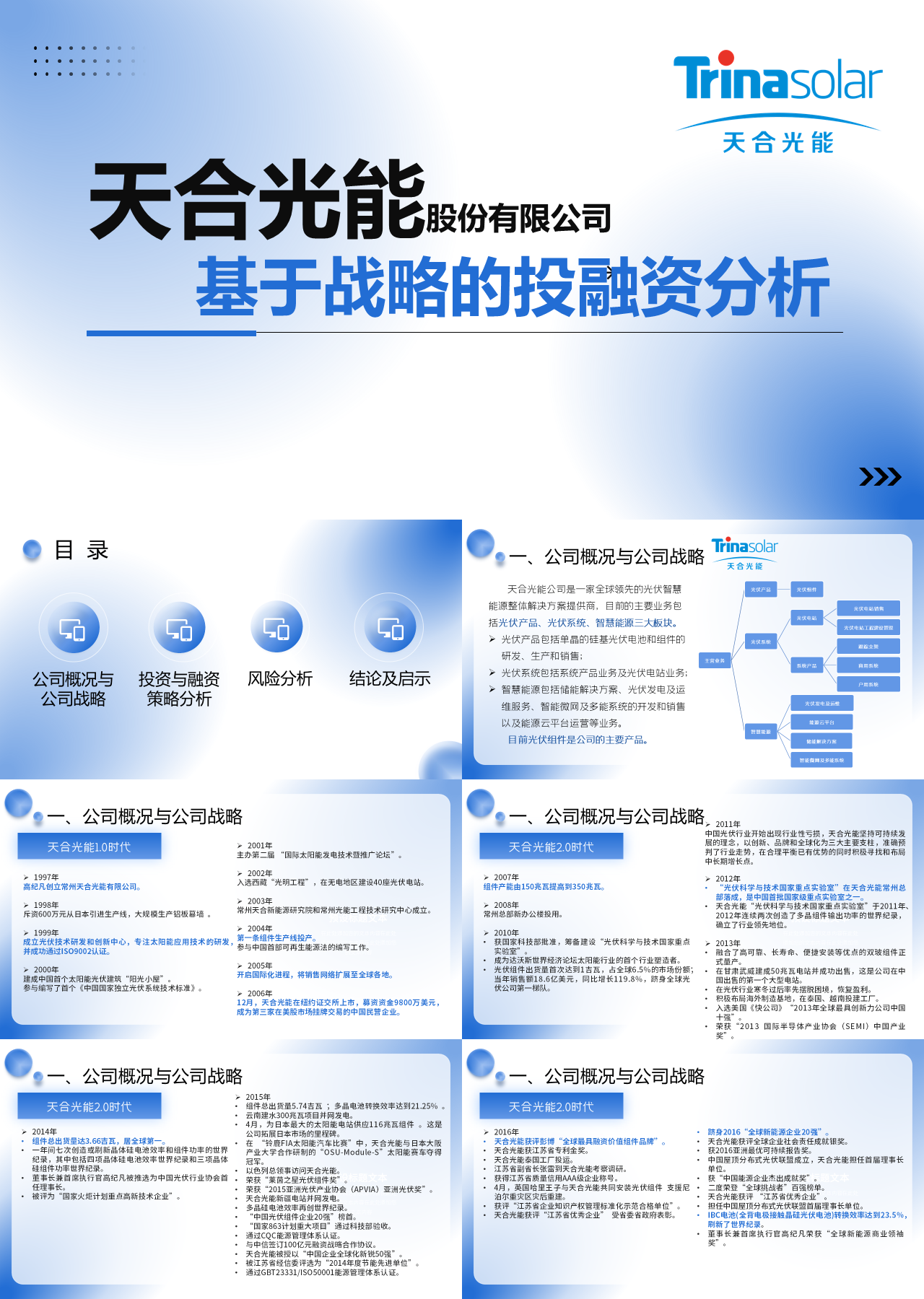 标准动态蓝色基于战略的投融资分析报告书