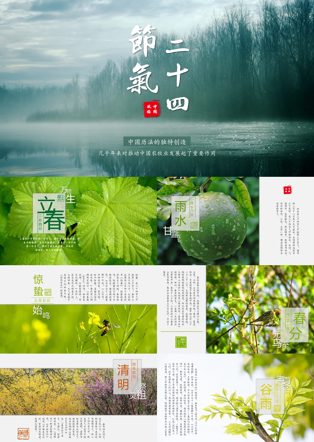 标准动态深色二十四节气介绍
