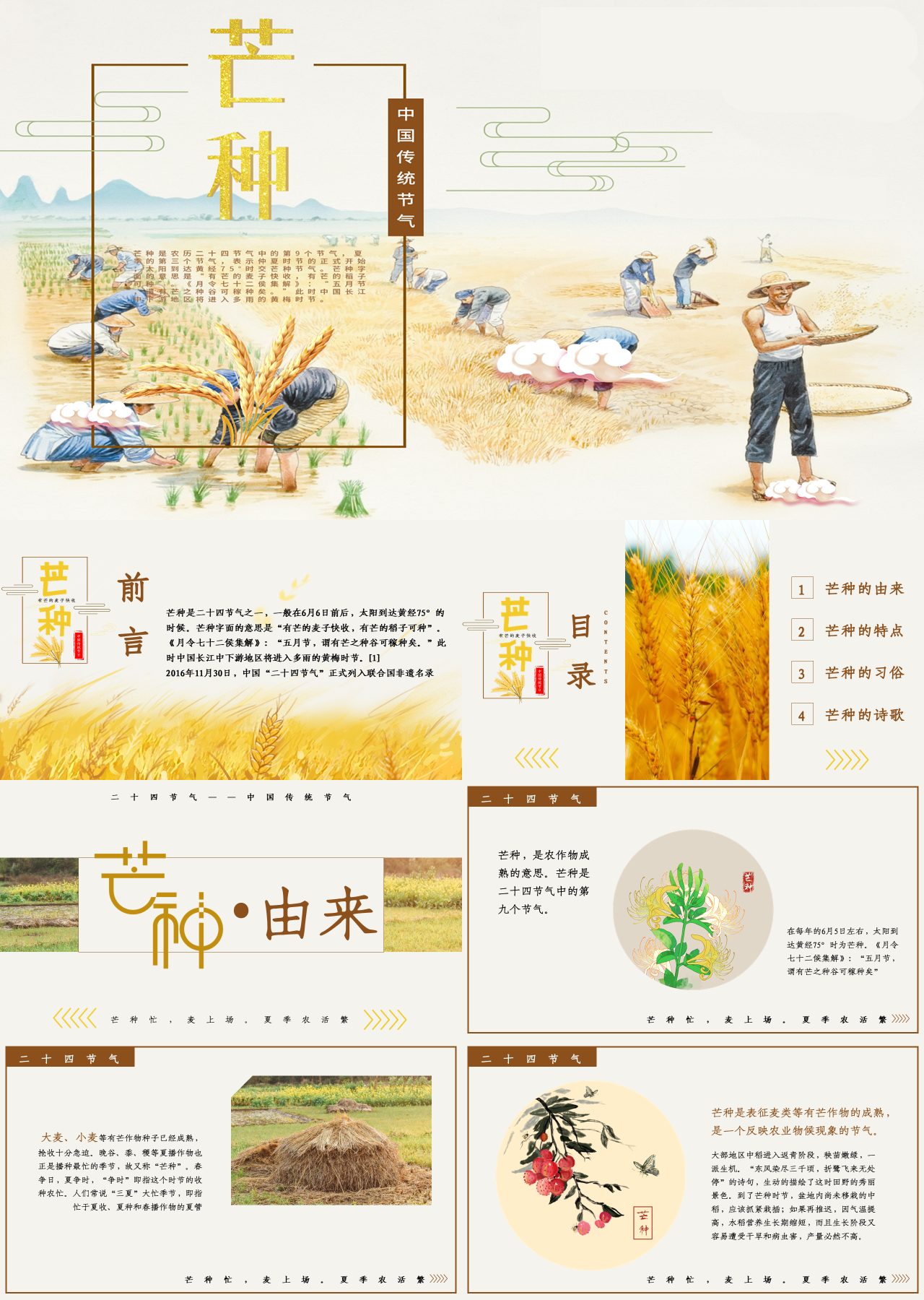 标准动态黄色二十四节气之芒种