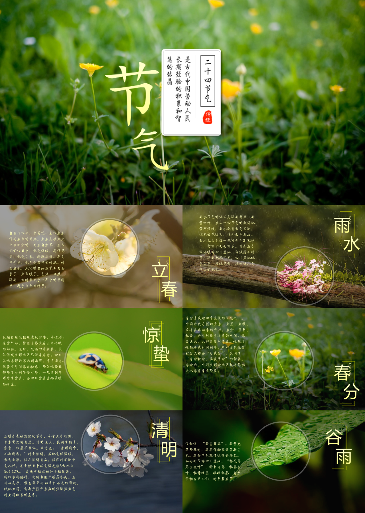标准动态绿色二十四节气简介