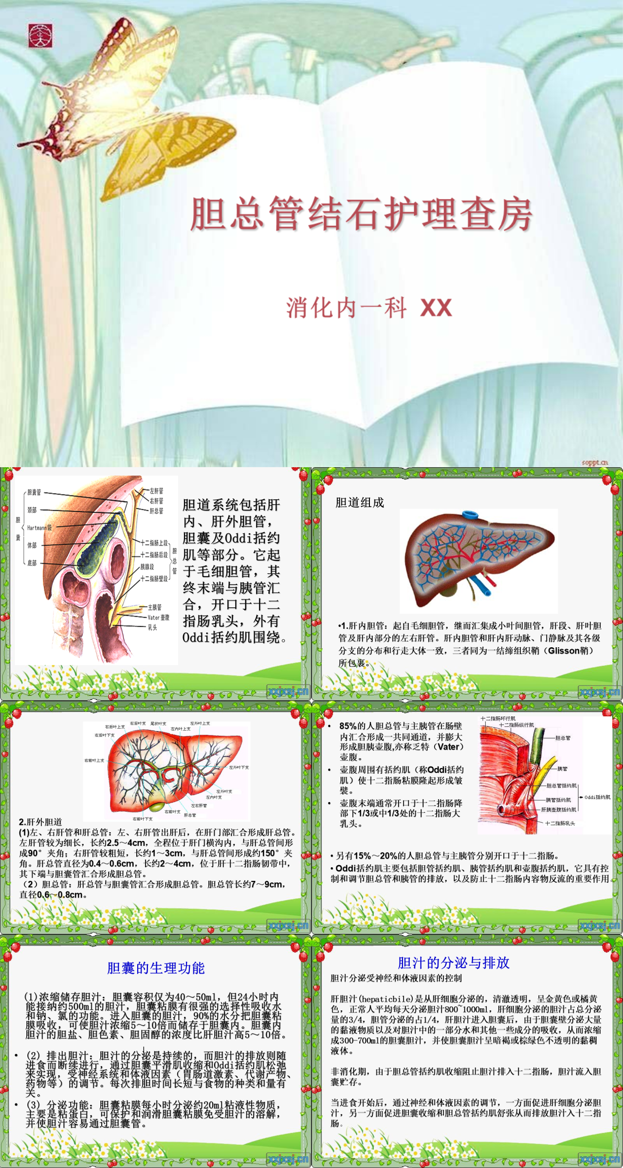 简单静态绿色胆总管结石护理