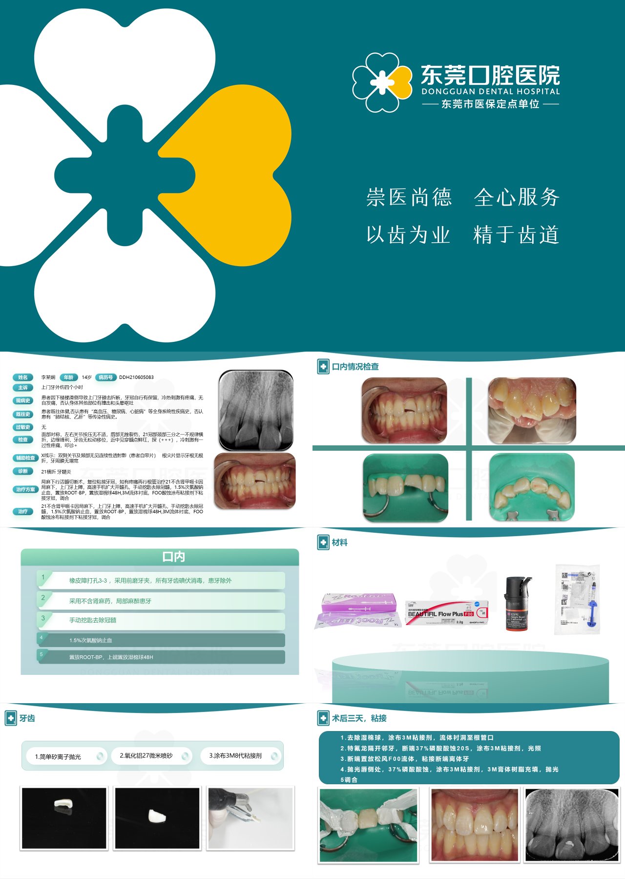 标准静态绿色医疗医护学术报告