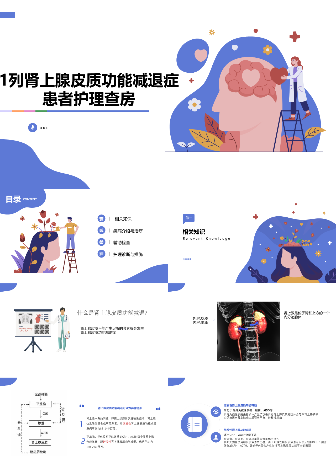 标准静态蓝色企业培训肾上腺皮质功能减退患者护理查房
