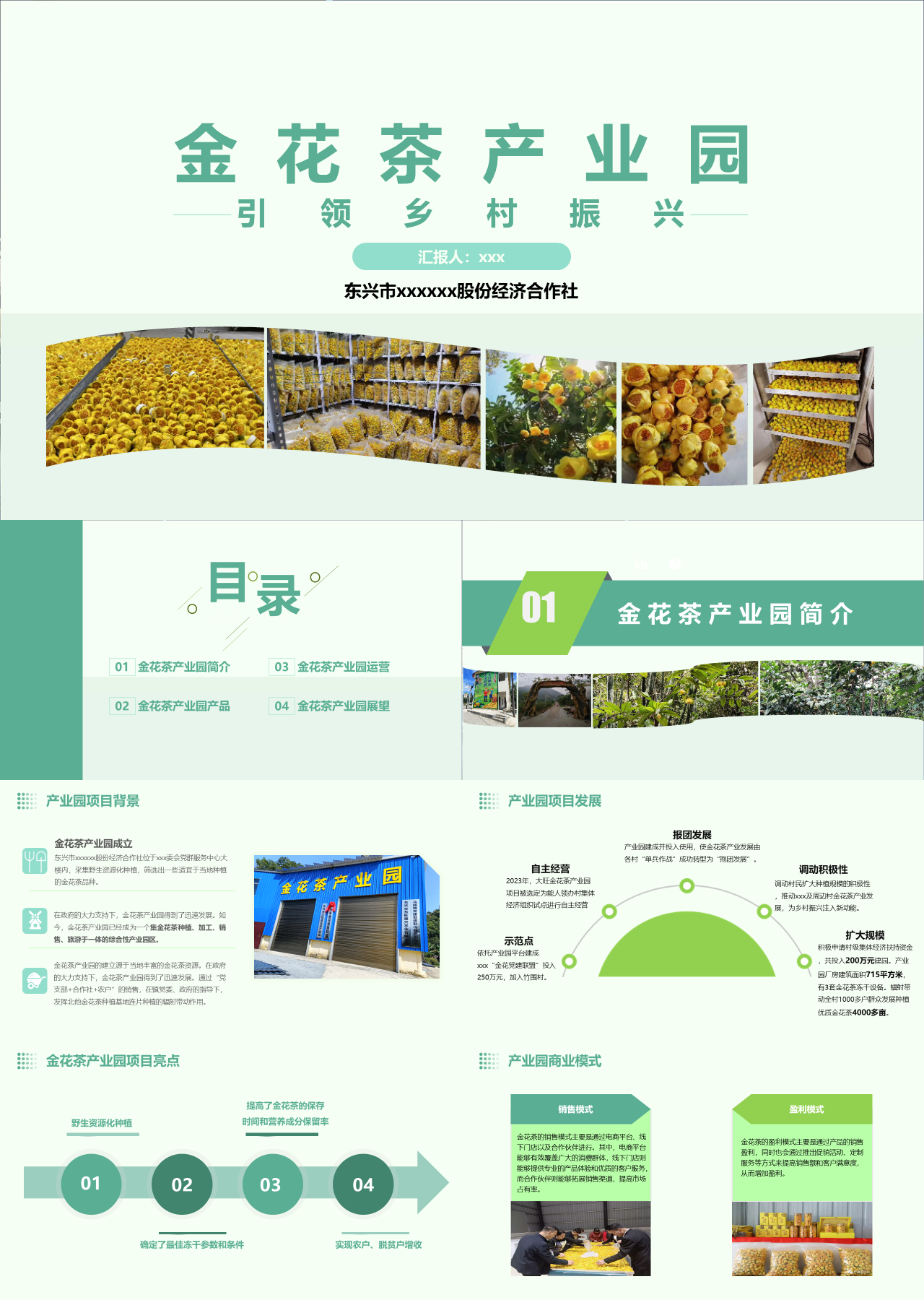 标准静态简约企业宣传金花茶产业园