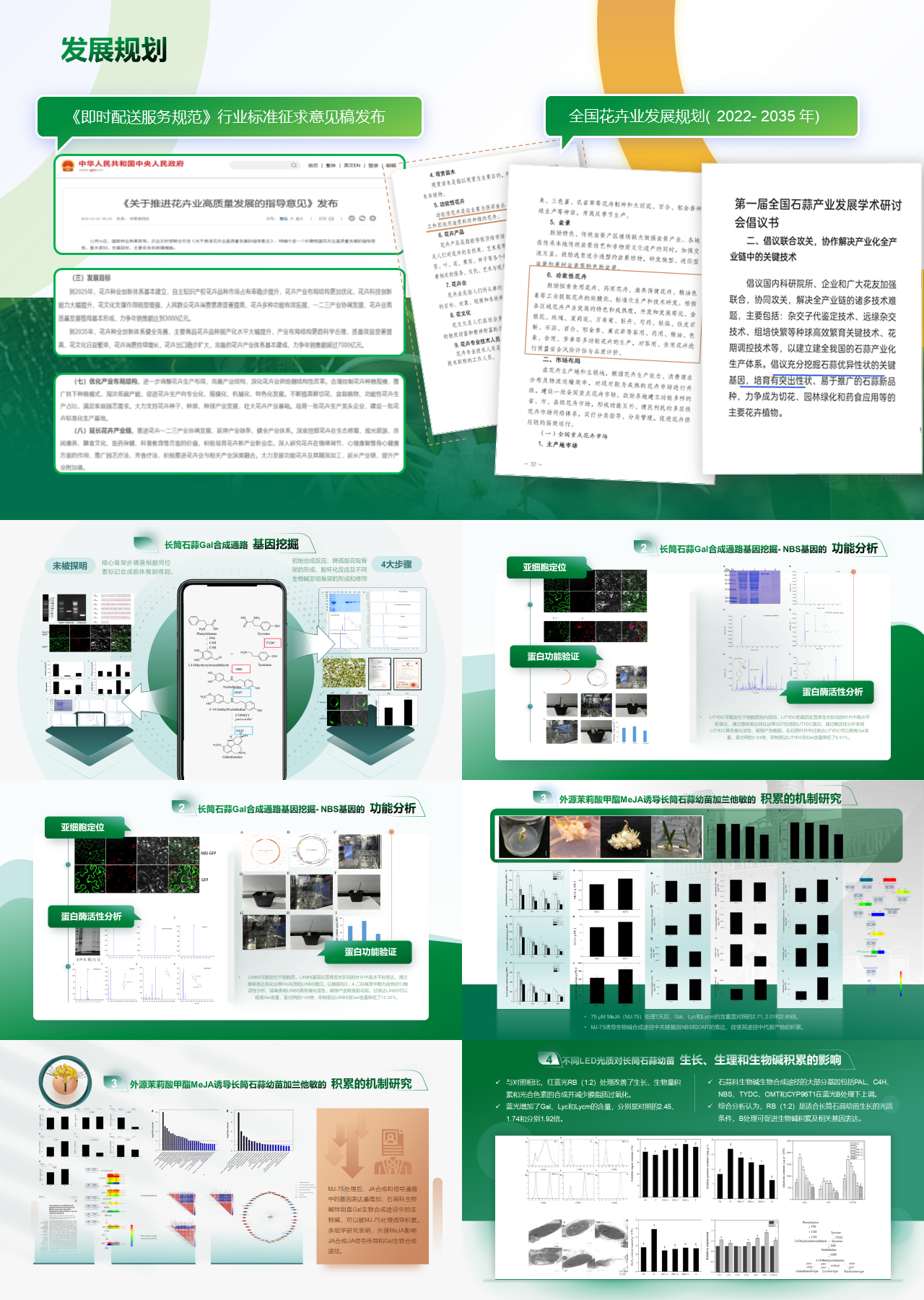 高端静态绿色论文答辩发展规划