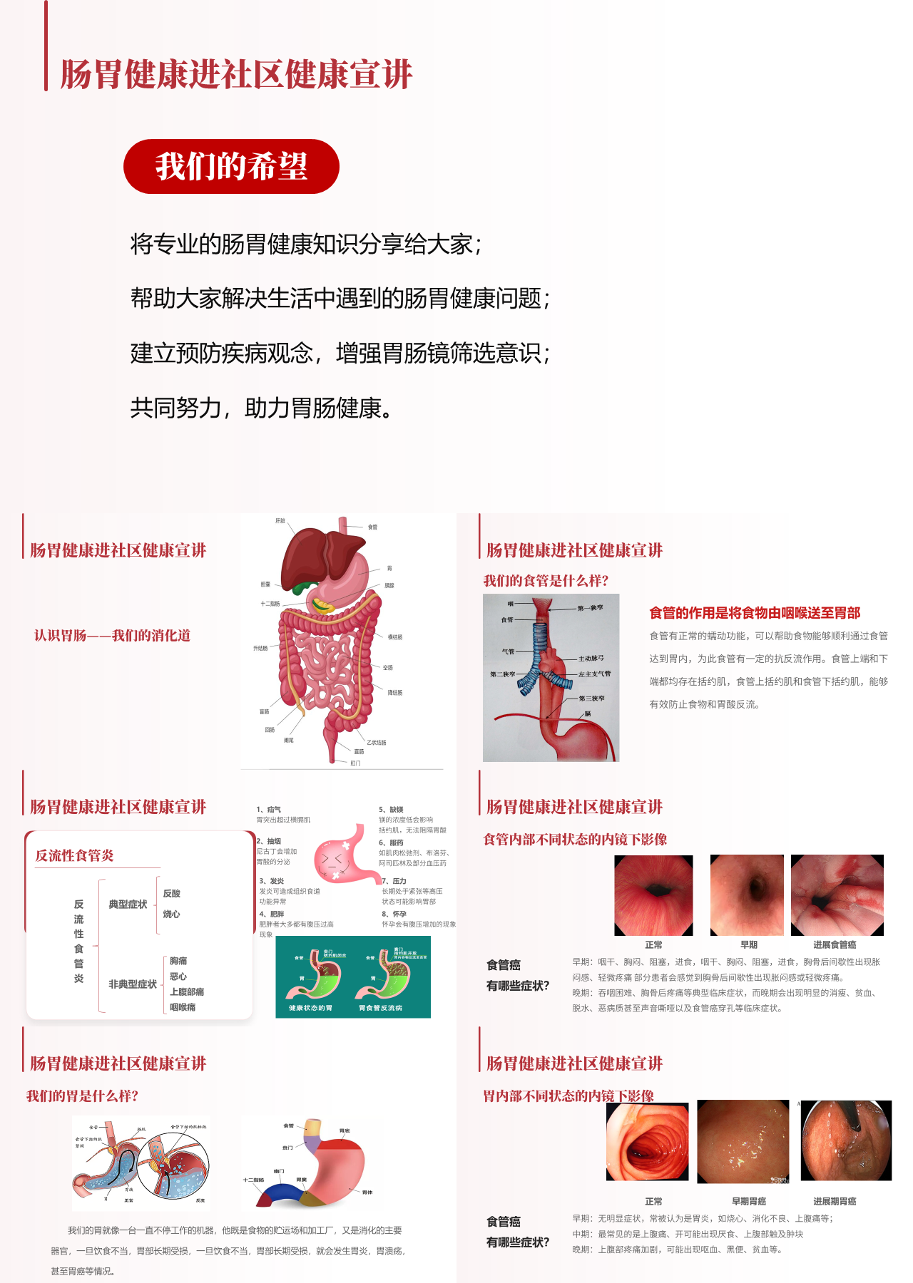 标准静态红色主题教育肠胃健康进社区健康宣讲