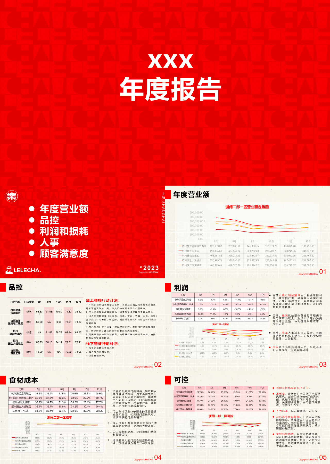 标准静态红色年度报告