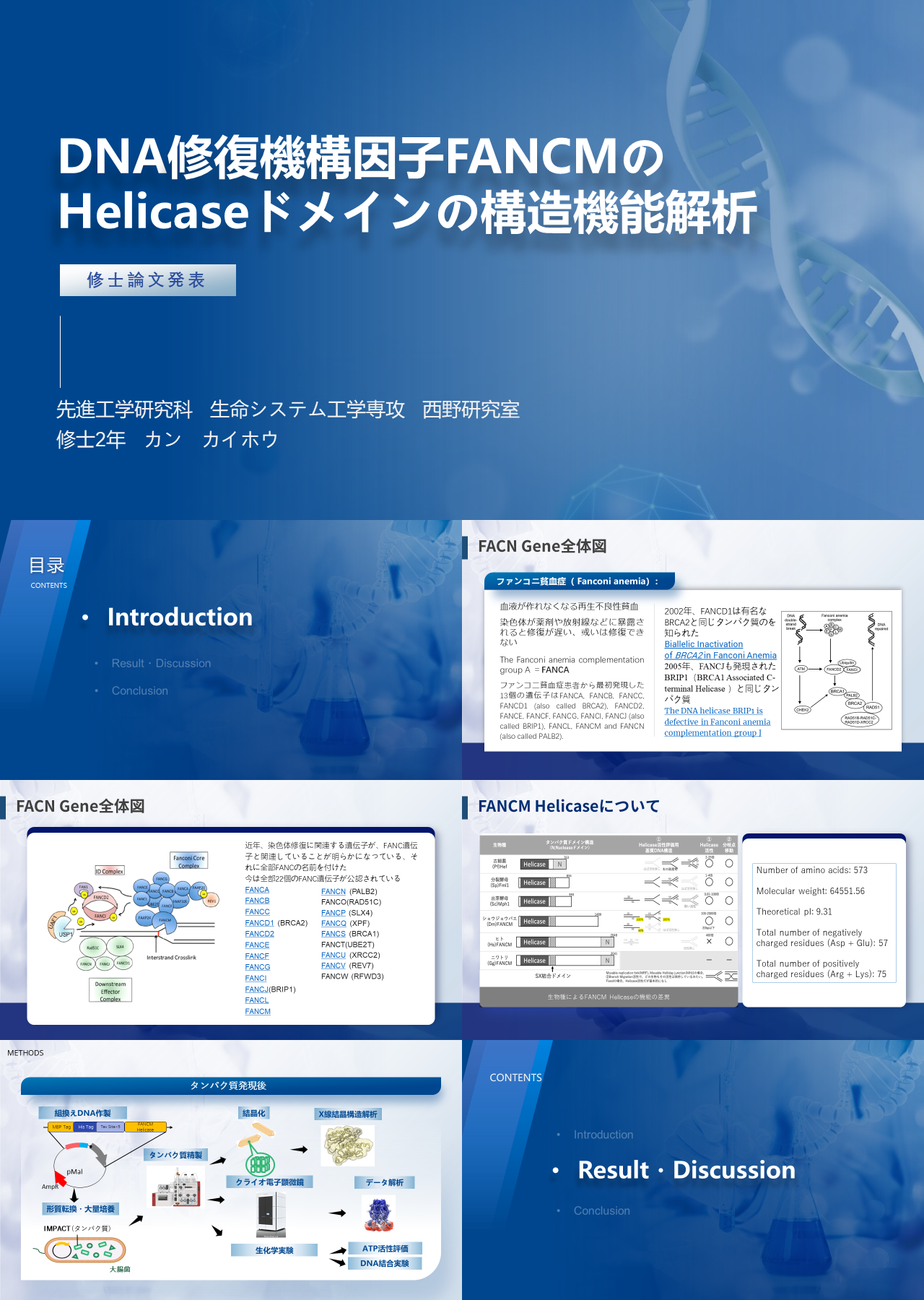 标准静态蓝色修論発表日本