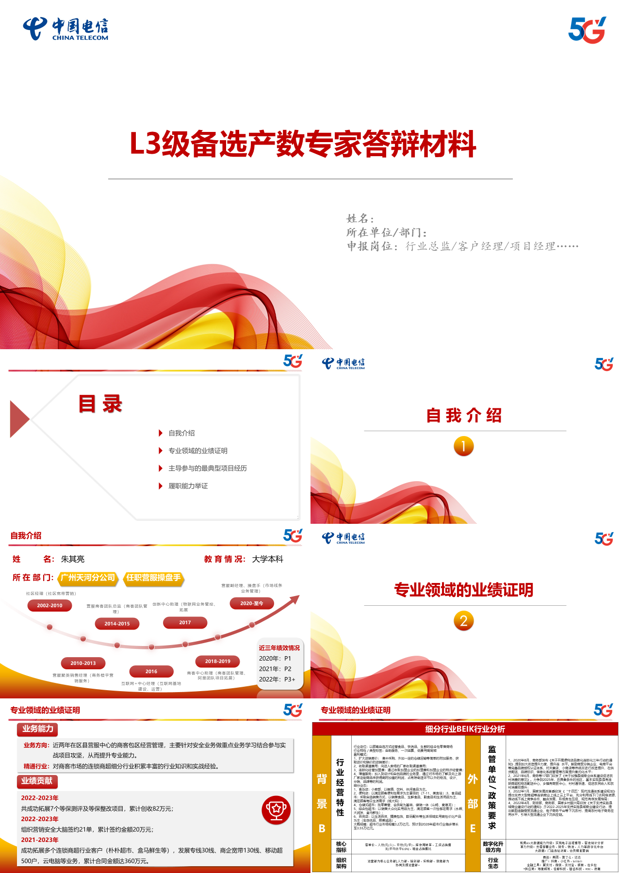 标准静态红色工作汇报L3级备选产数专家答辩材料