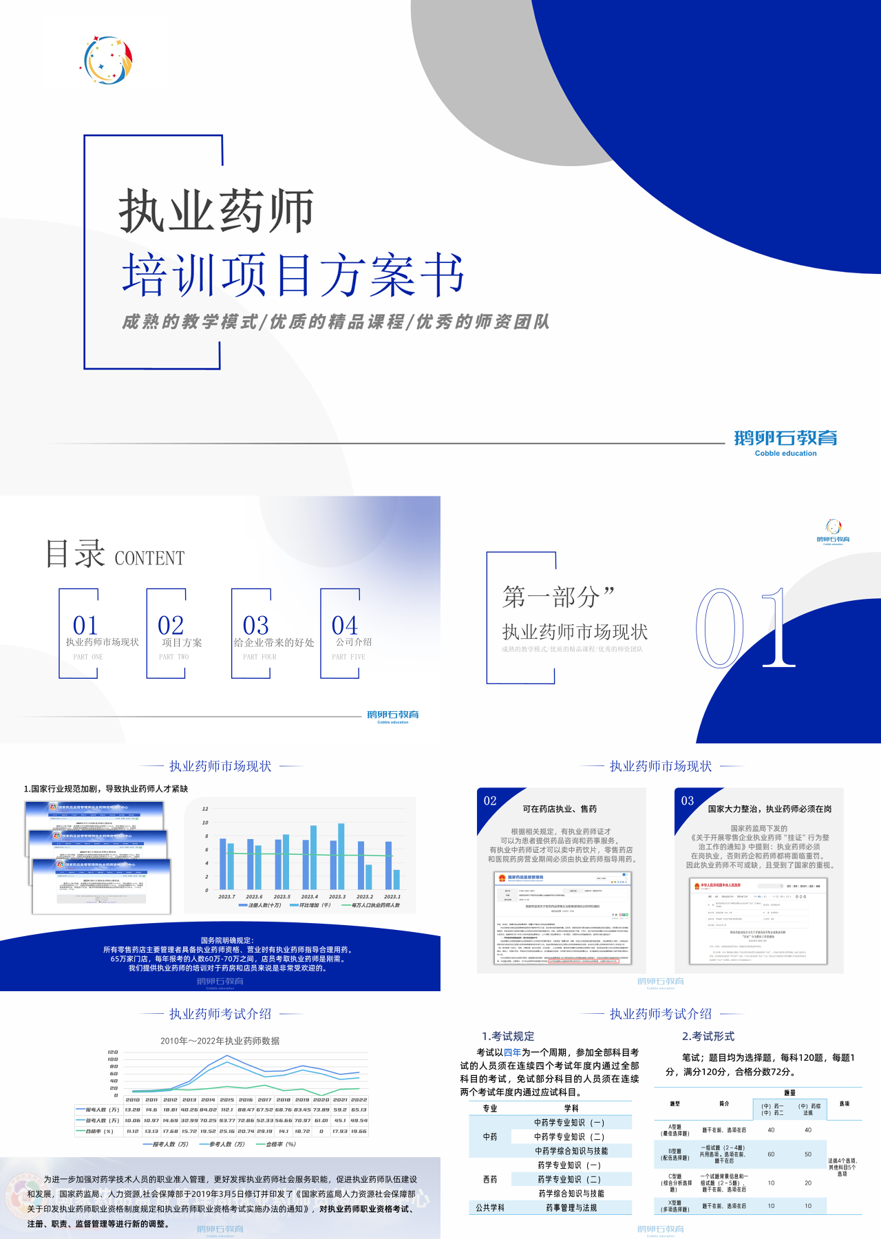 标准静态蓝色执业药师培训项目方案书