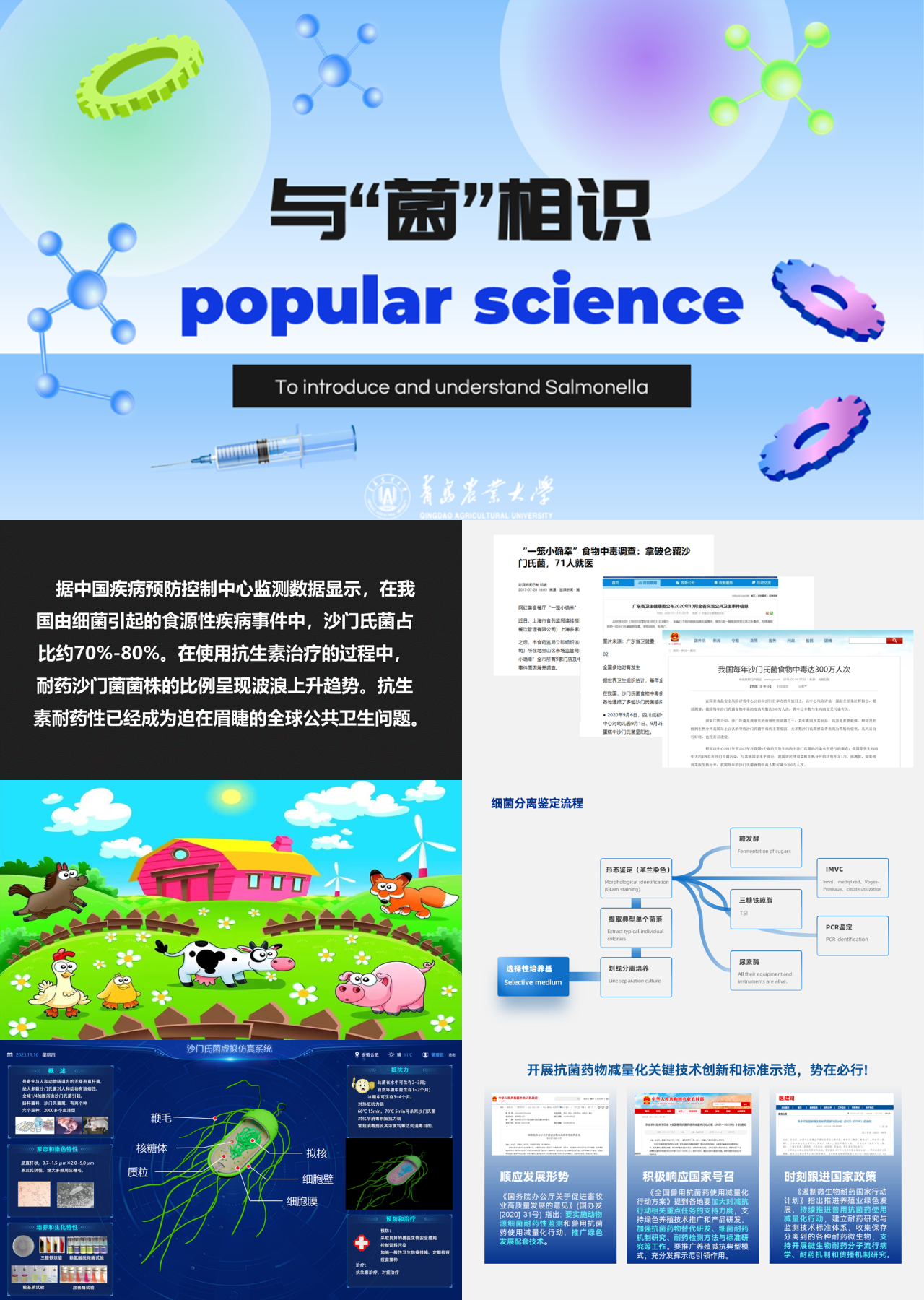 标准静态蓝色主题教育认识细菌