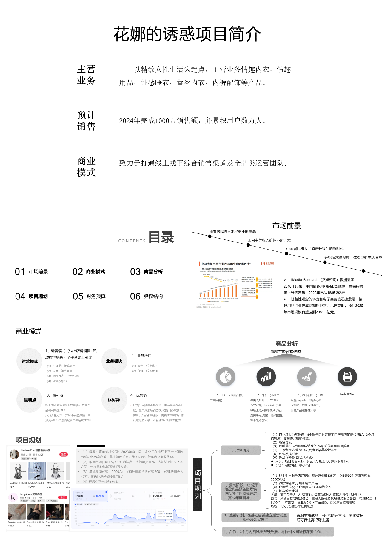 简单静态简约商业计划书内衣项目简介