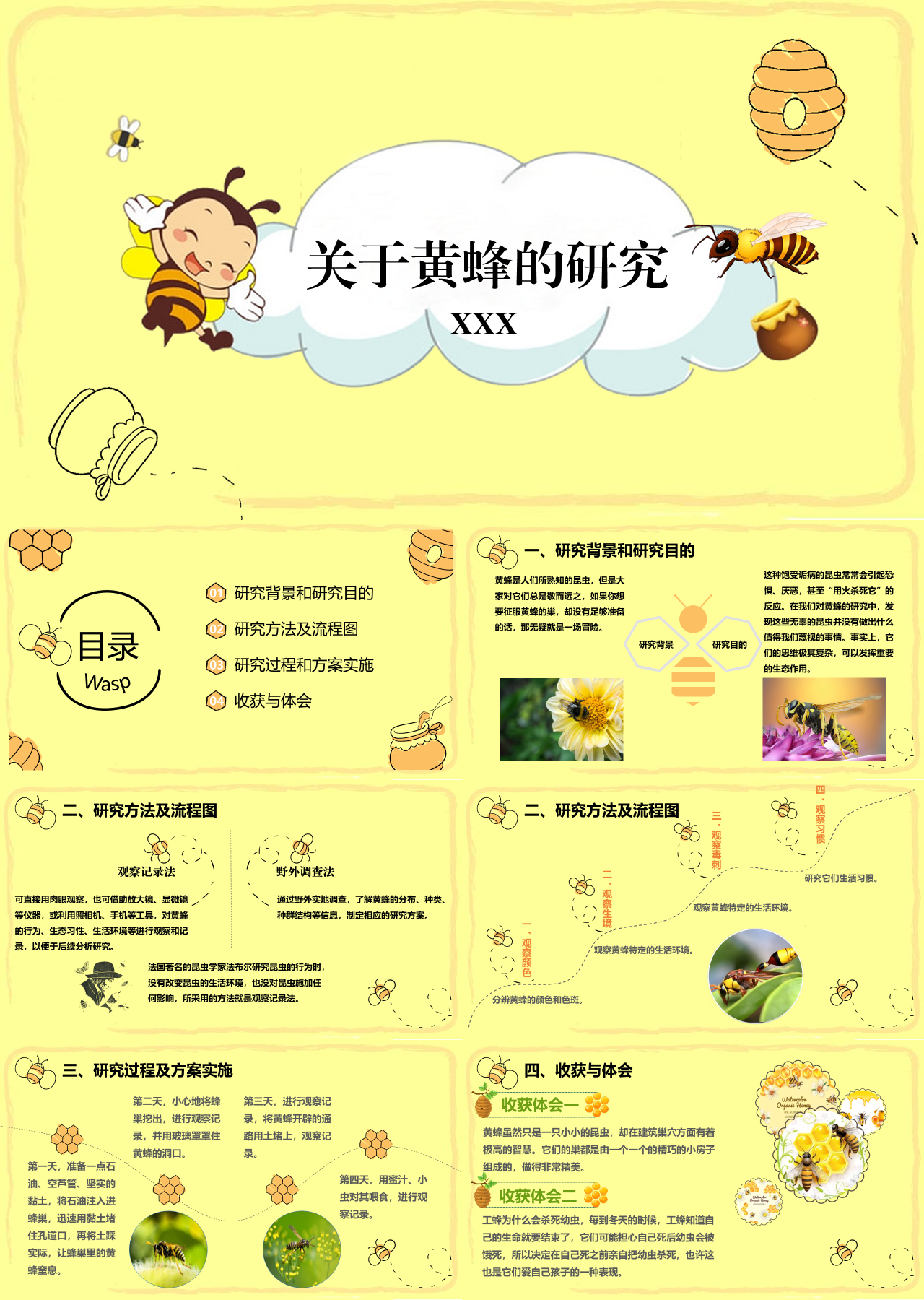 标准静态卡通主题教育关于黄蜂的研究