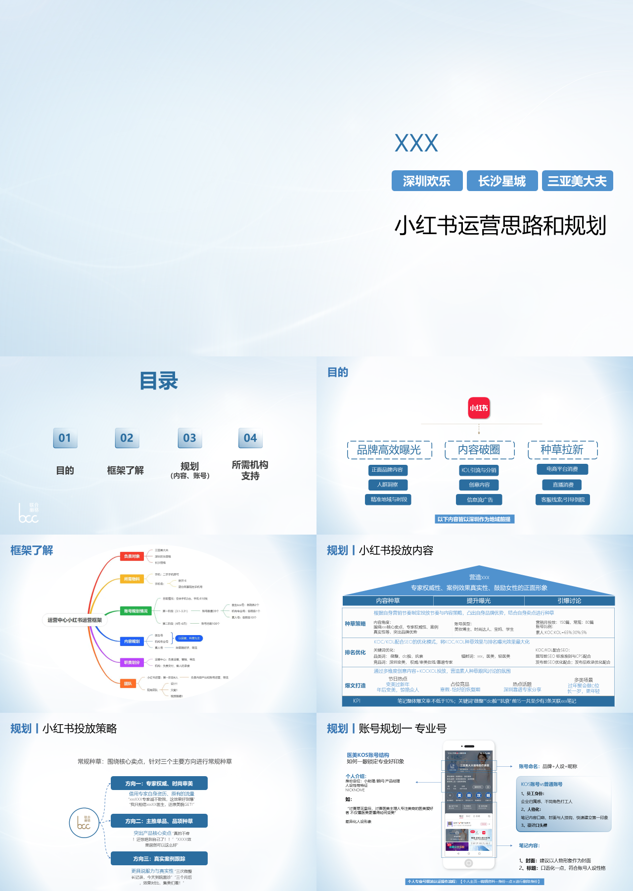 标准静态简约营销策划小红书运营思路和规划