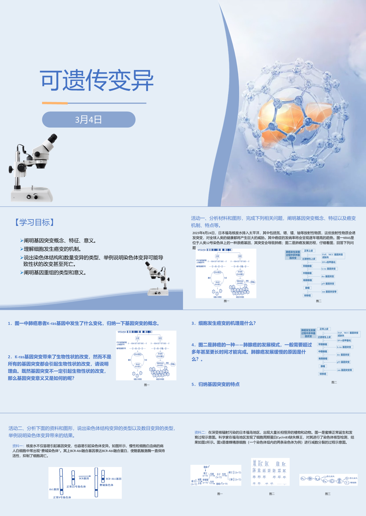 标准静态简约主题教育可遗传变异