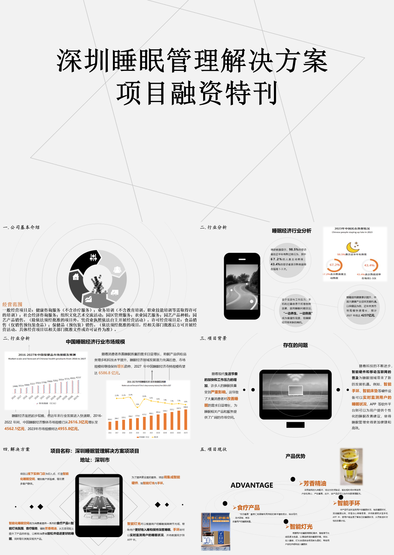 标准动态简约商业计划书睡眠项目融资