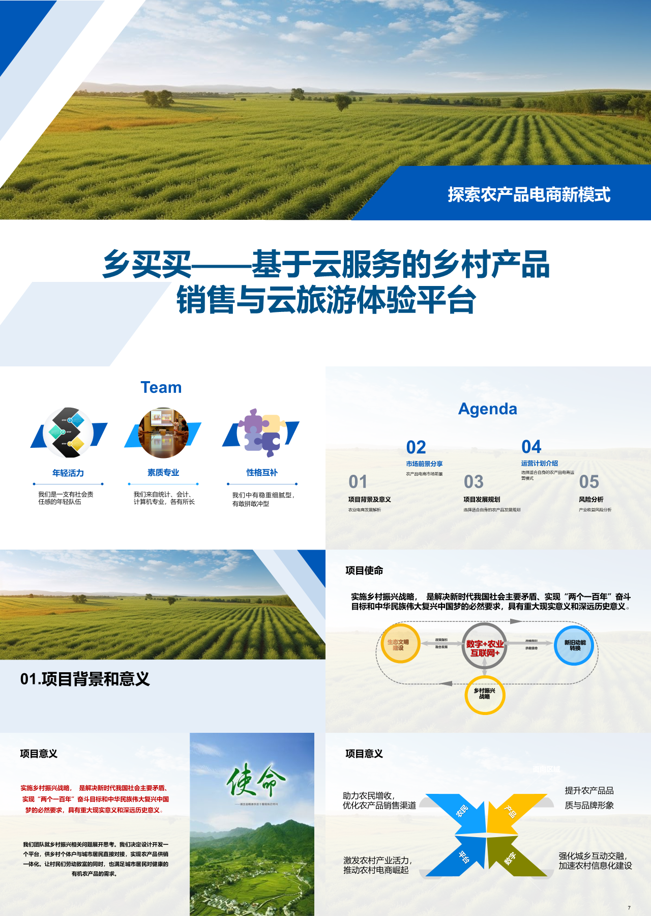 标准静态蓝色商业计划书基于云服务的乡村产品销售与云旅游体验平台