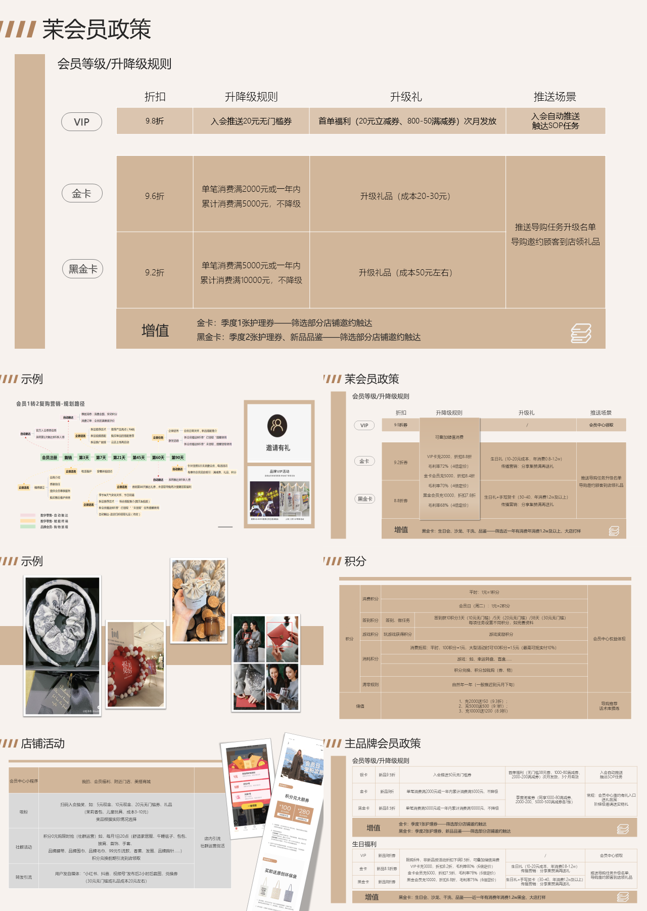 标准静态棕色营销策划茉会员政策