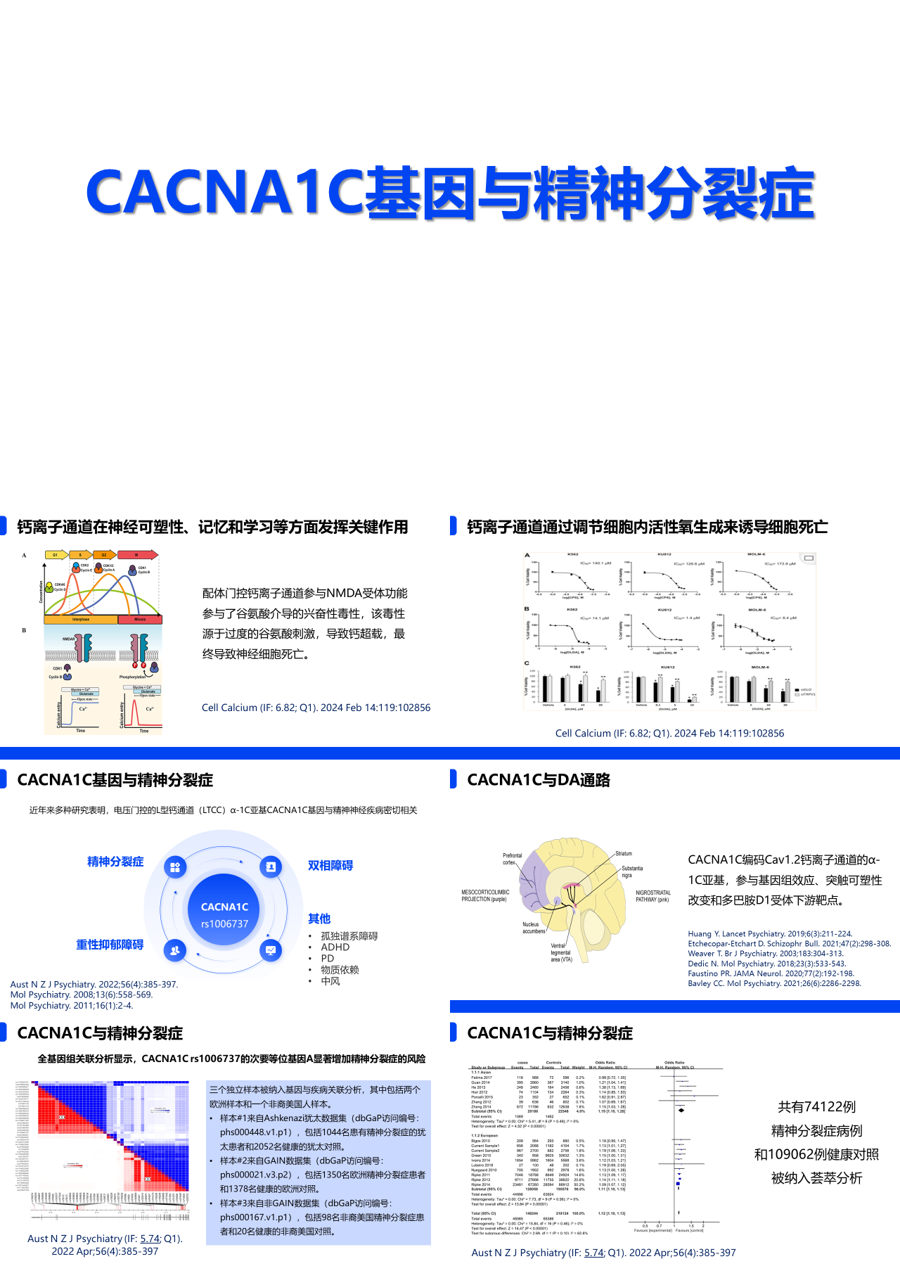 标准静态蓝色论文答辩CACNA1C基因与精神分裂症