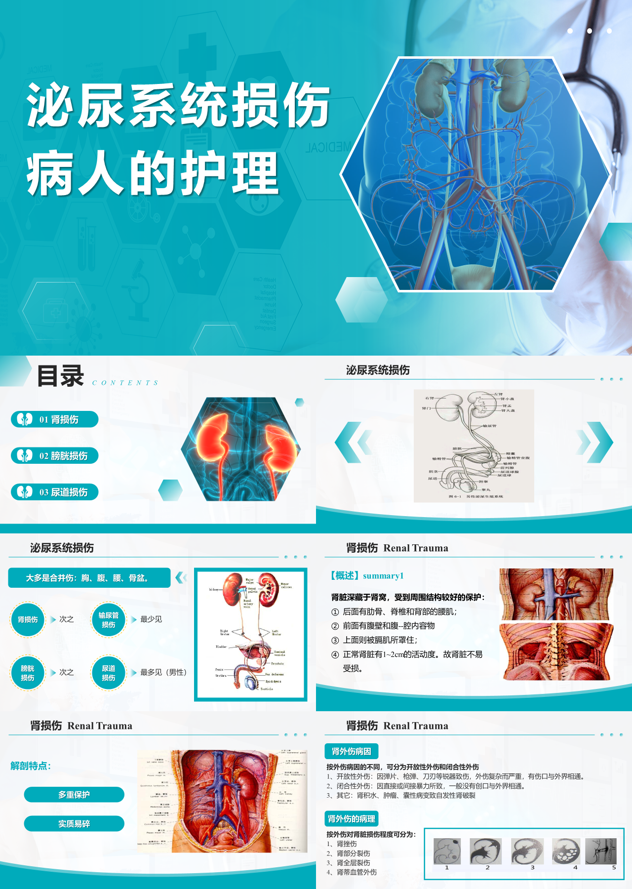 标准静态绿色主题教育泌尿系统损伤