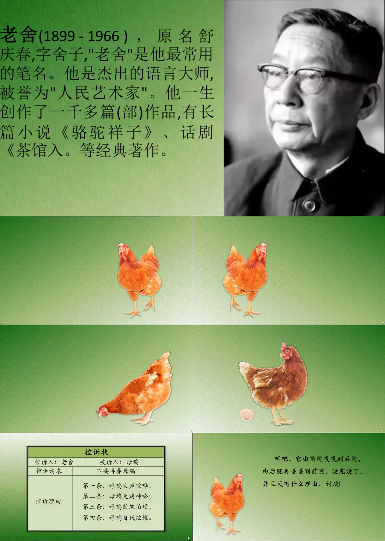 简单静态简约母鸡教学课件