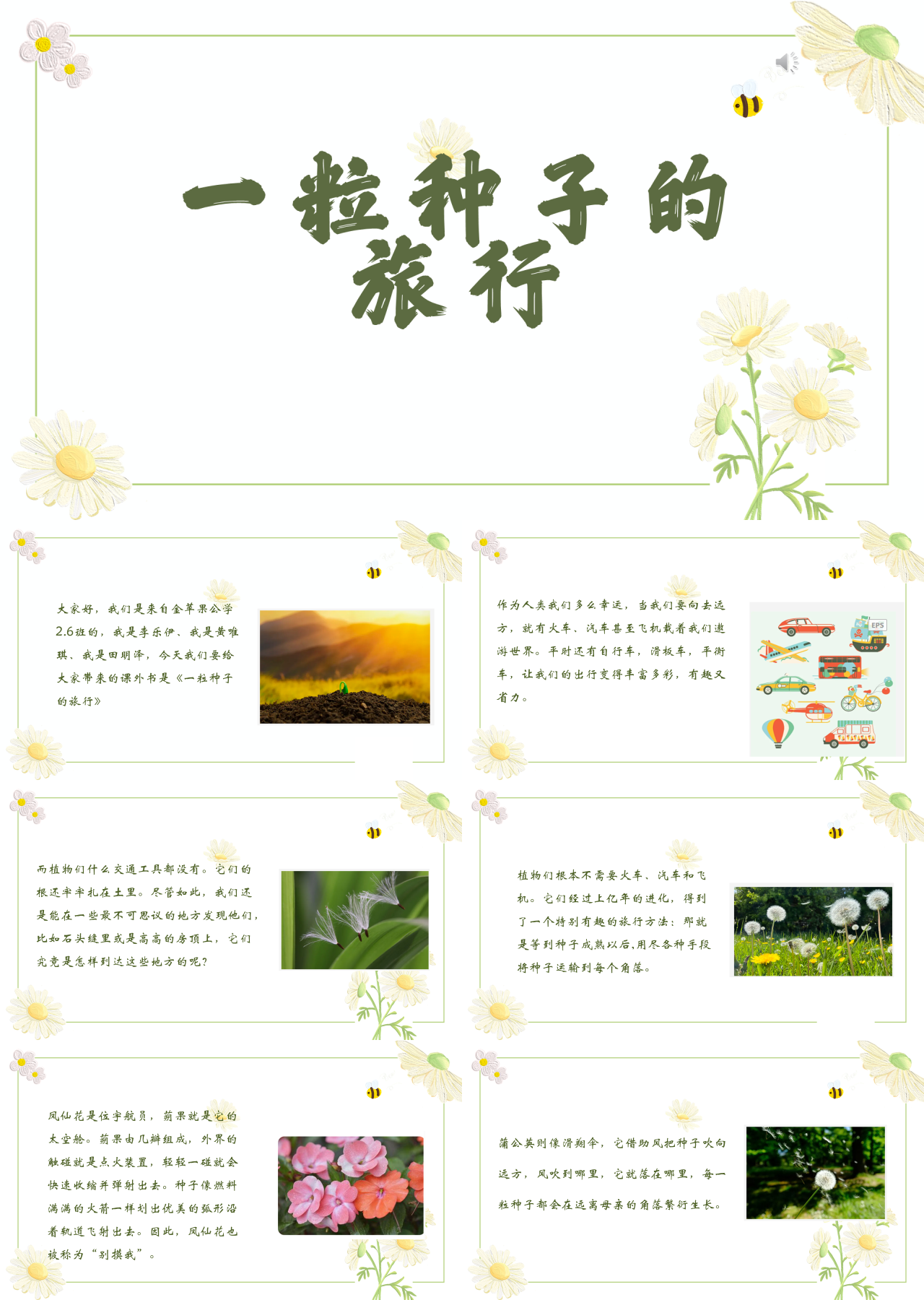 标准静态简约工作汇报一粒种子的旅行