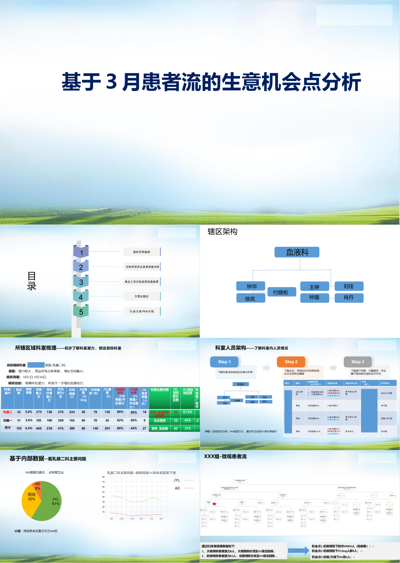 标准静态蓝色工作汇报基于患者流的生意机会点分析