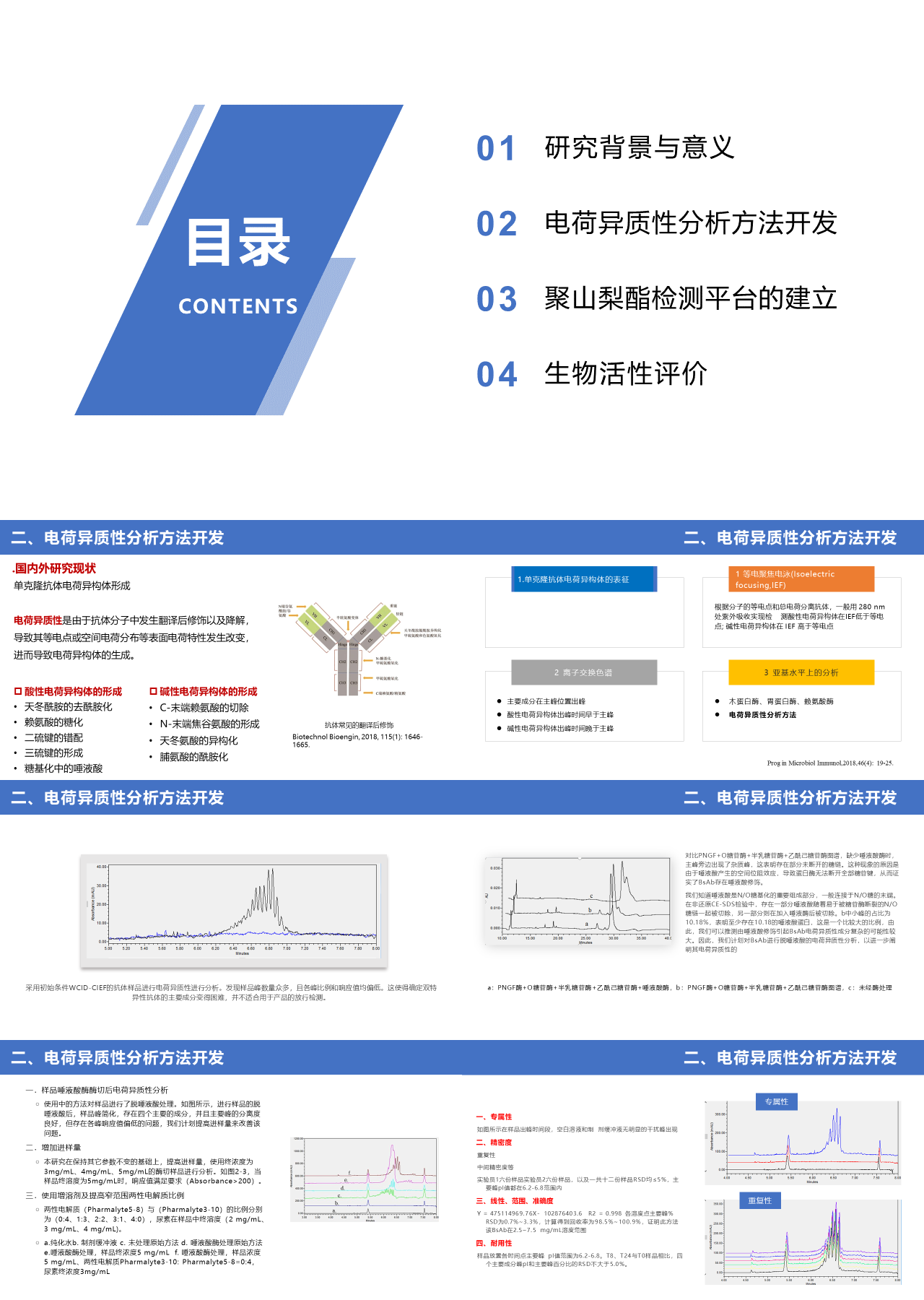 标准静态蓝色论文答辩电荷异质性分析方法开发