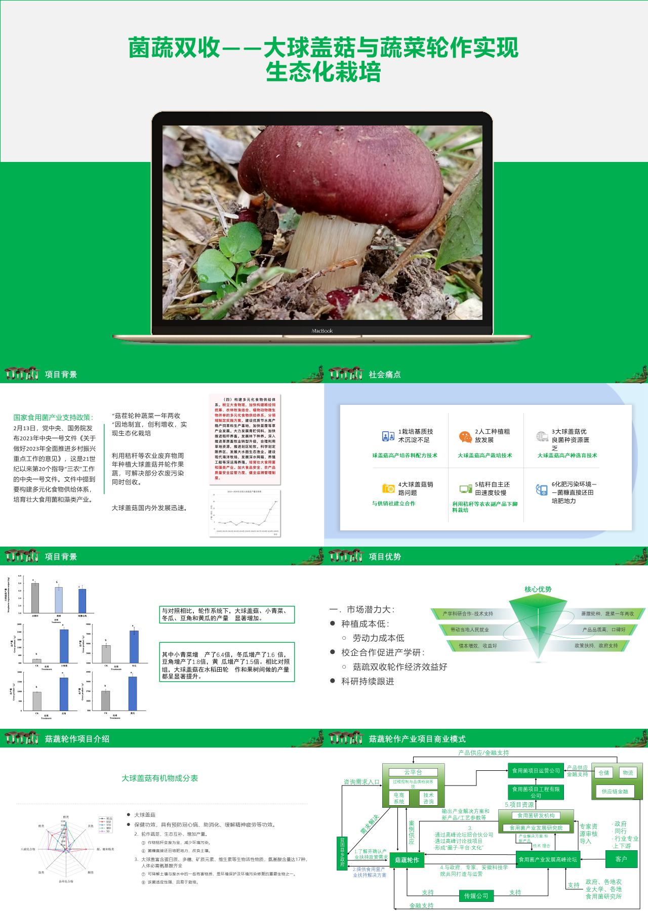 标准静态绿色教育课件大球盖菇与蔬菜轮作实现生态化栽培