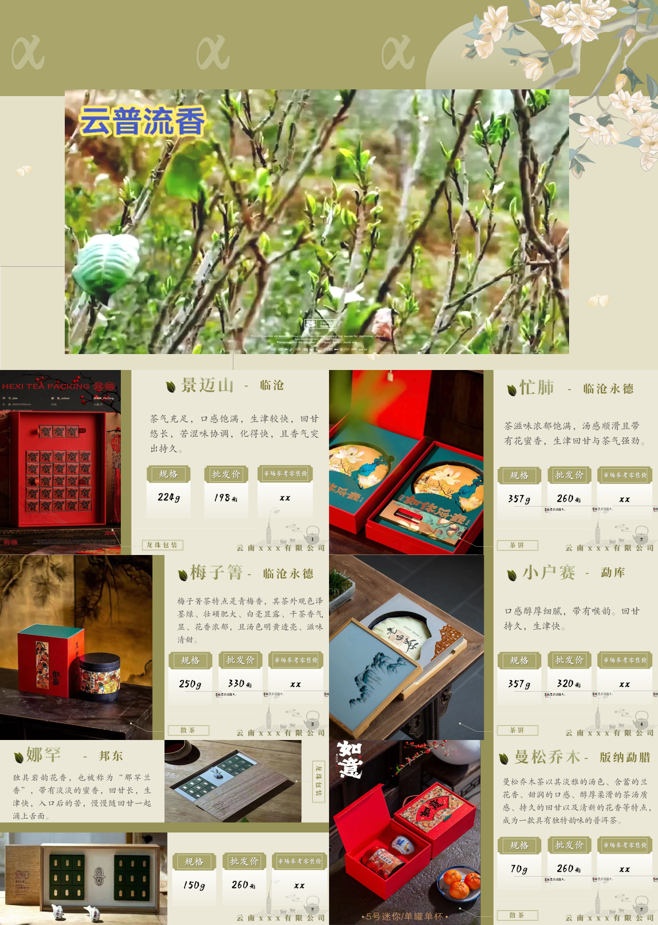 标准静态中国风产品推介茶叶