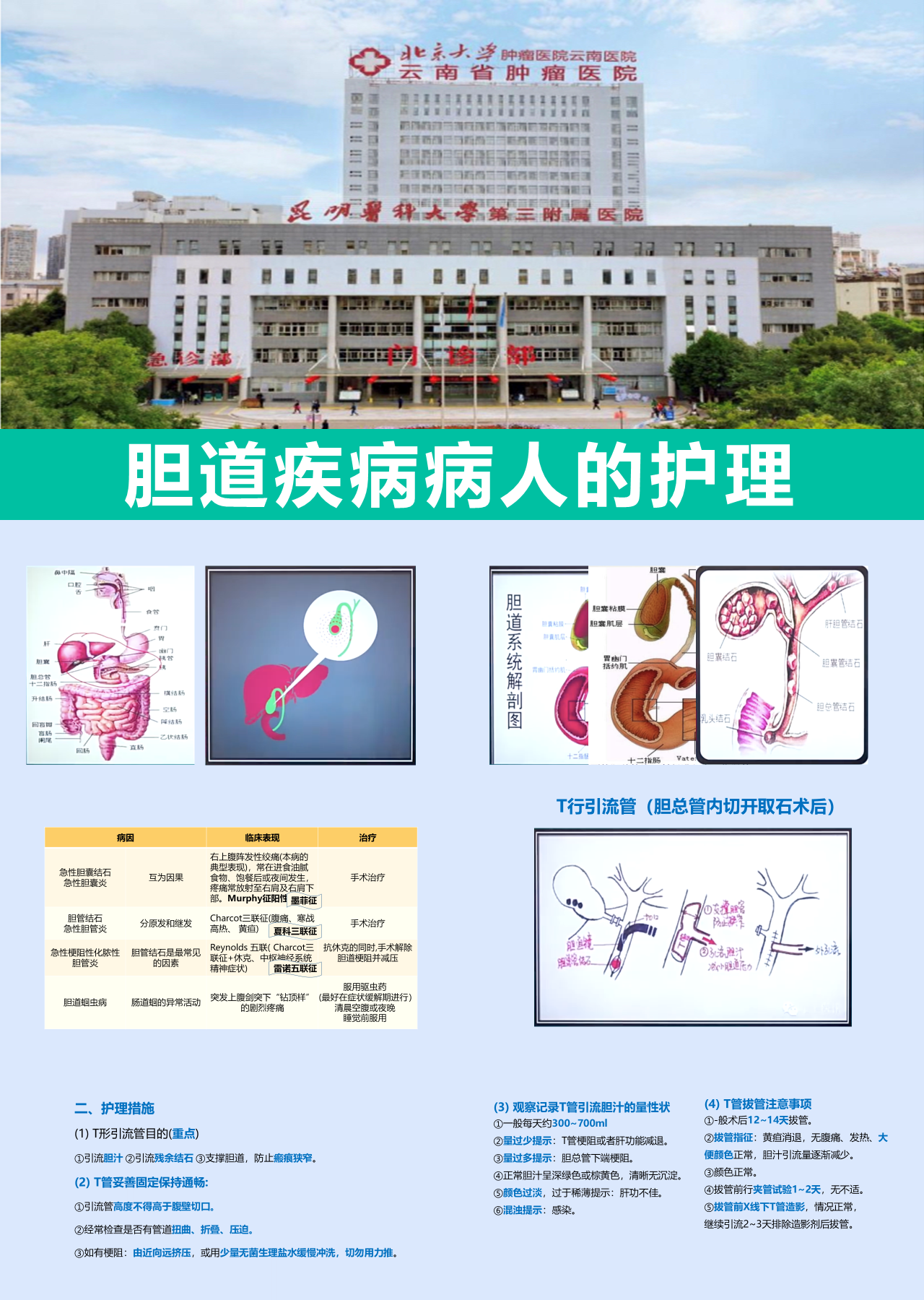 标准静态绿色工作汇报胆道疾病病人的护理