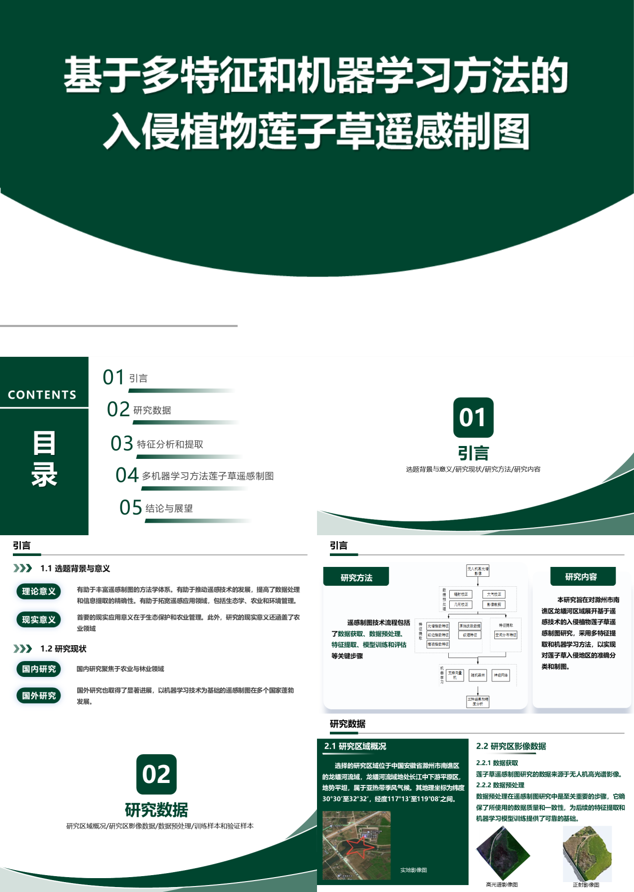 标准静态绿色论文答辩入侵植物莲子草遥感制图