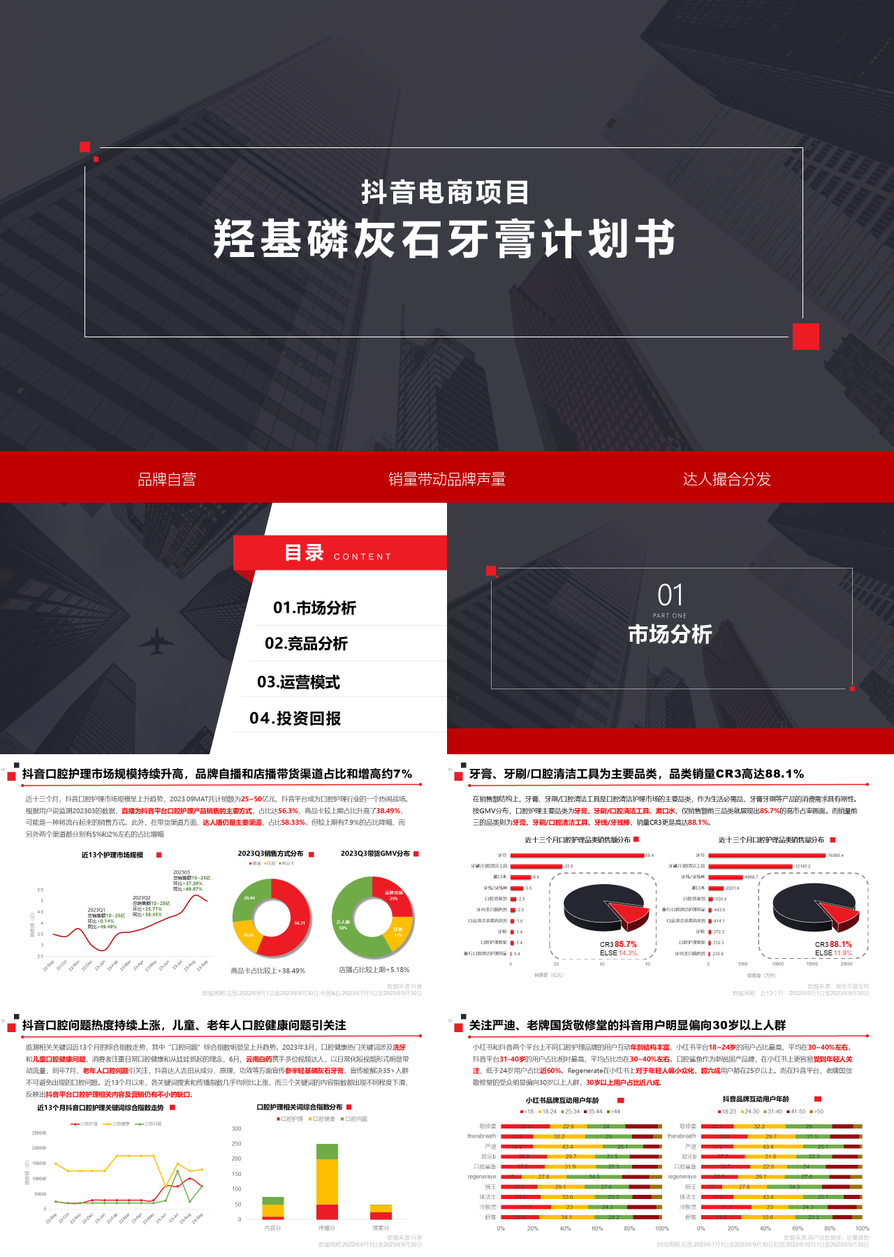 标准静态红色羟基磷灰石牙膏计划书