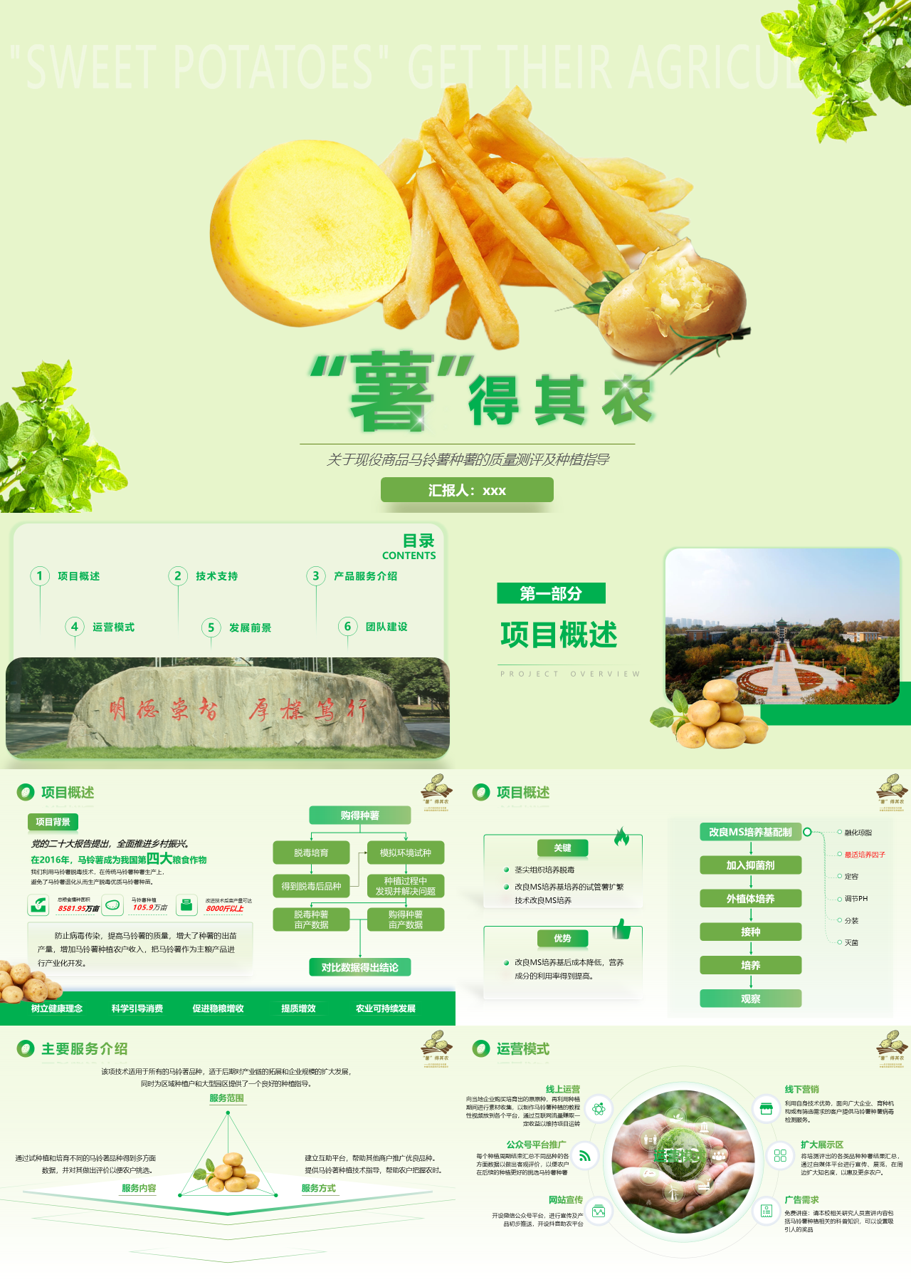 标准静态绿色工作汇报关于现役商品马铃薯种薯的质量测评及种植指导