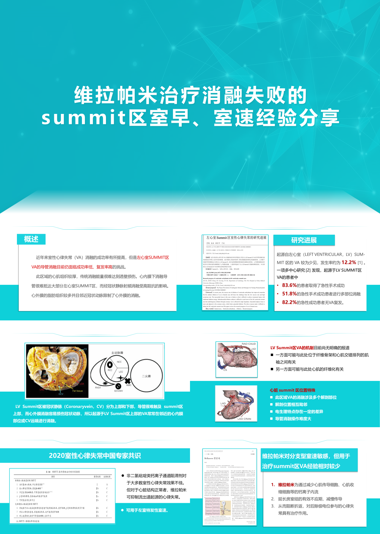 标准动态蓝色工作汇报维拉帕米治疗消融失败的summit区室早室速经验分享