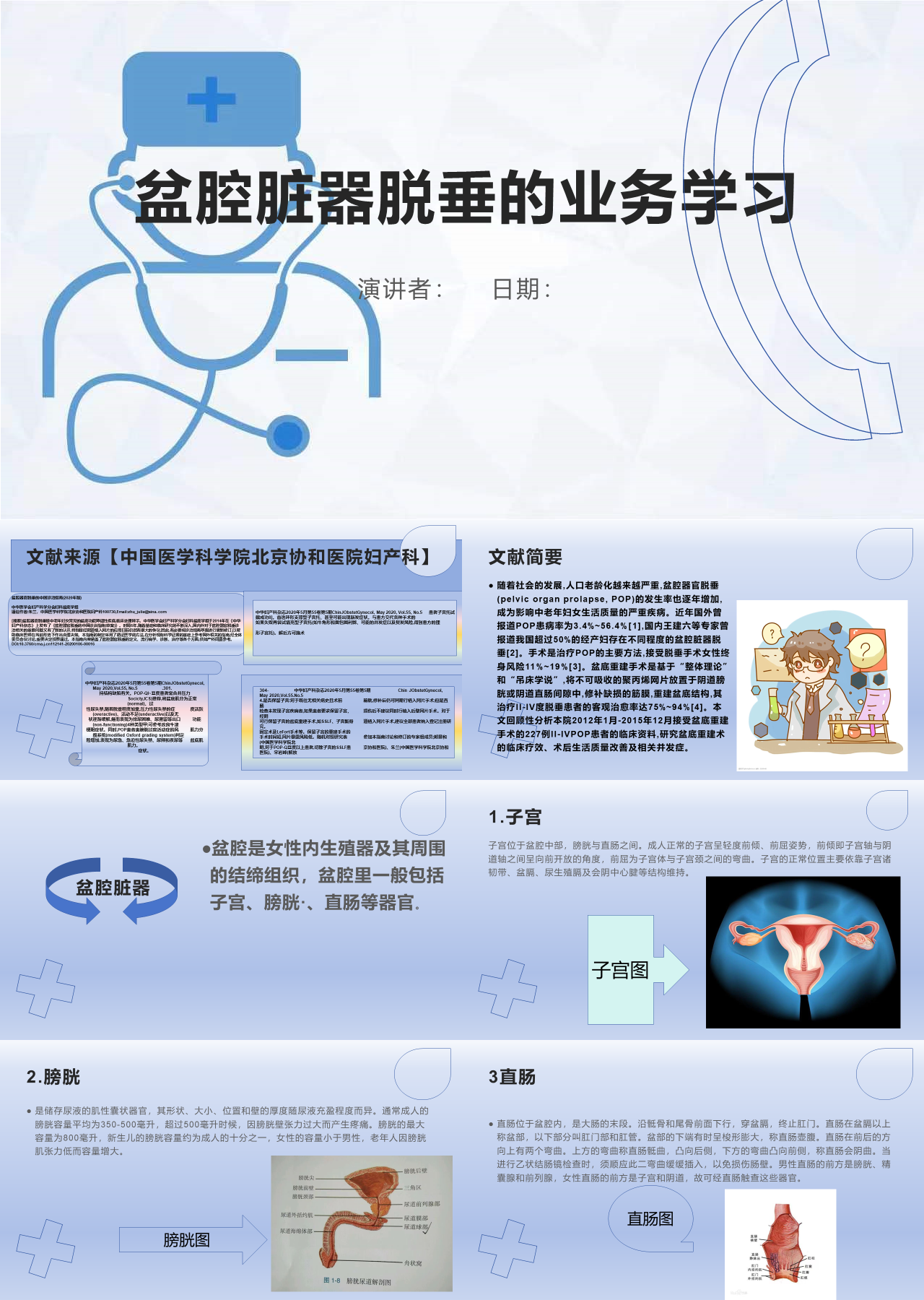 简单静态简约工作汇报盆腔脏器脱垂的业务学习