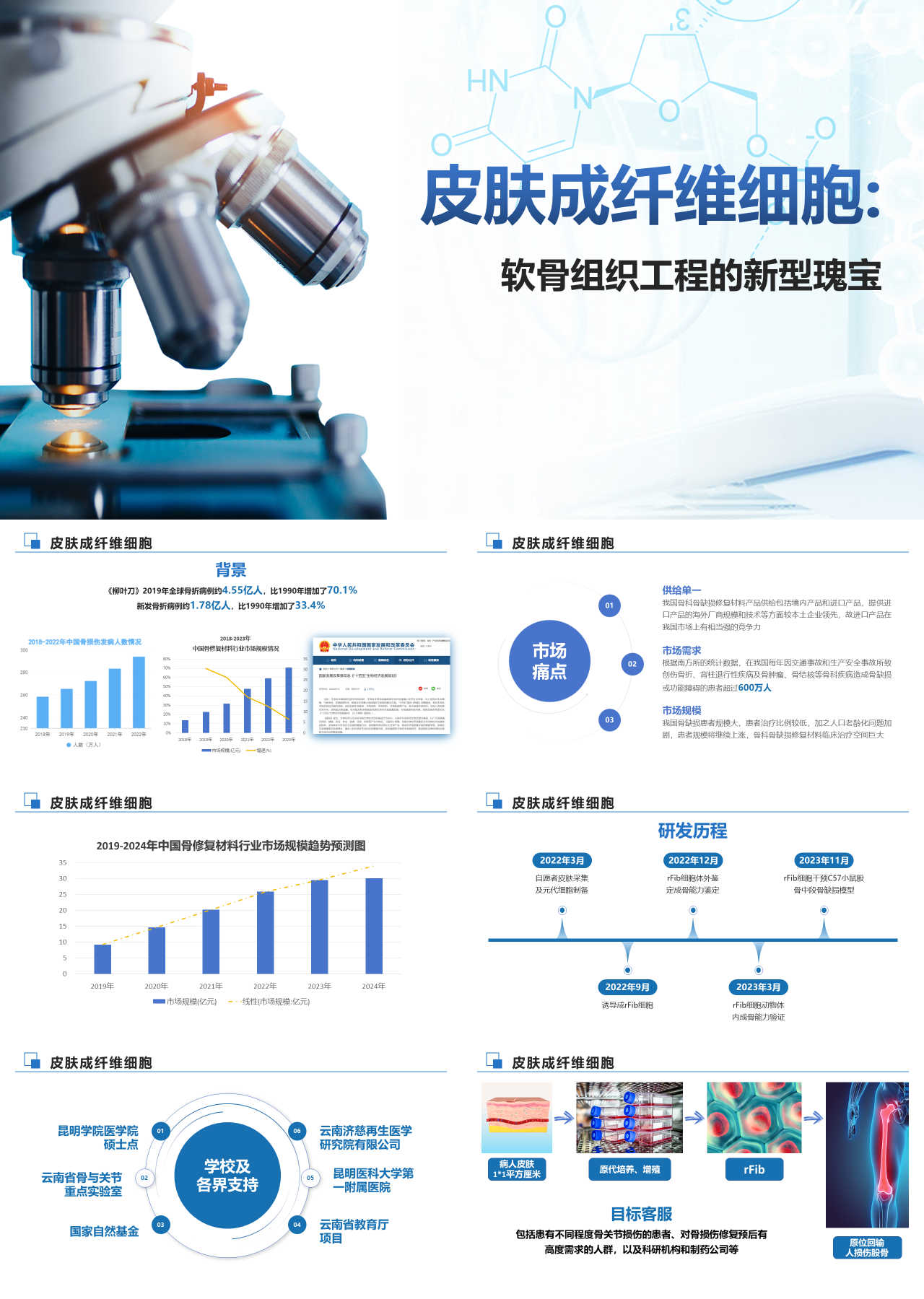 标准静态蓝色商业计划书皮肤成纤维细胞