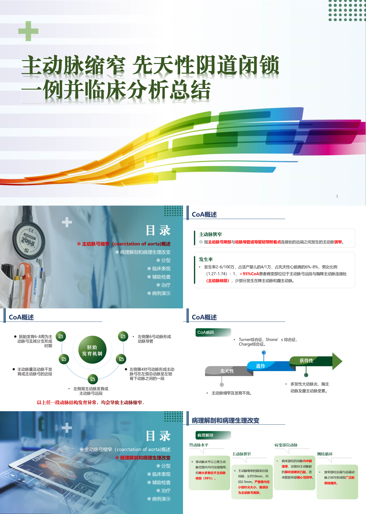 标准静态绿色工作汇报主动脉缩窄先天性阴道闭锁
