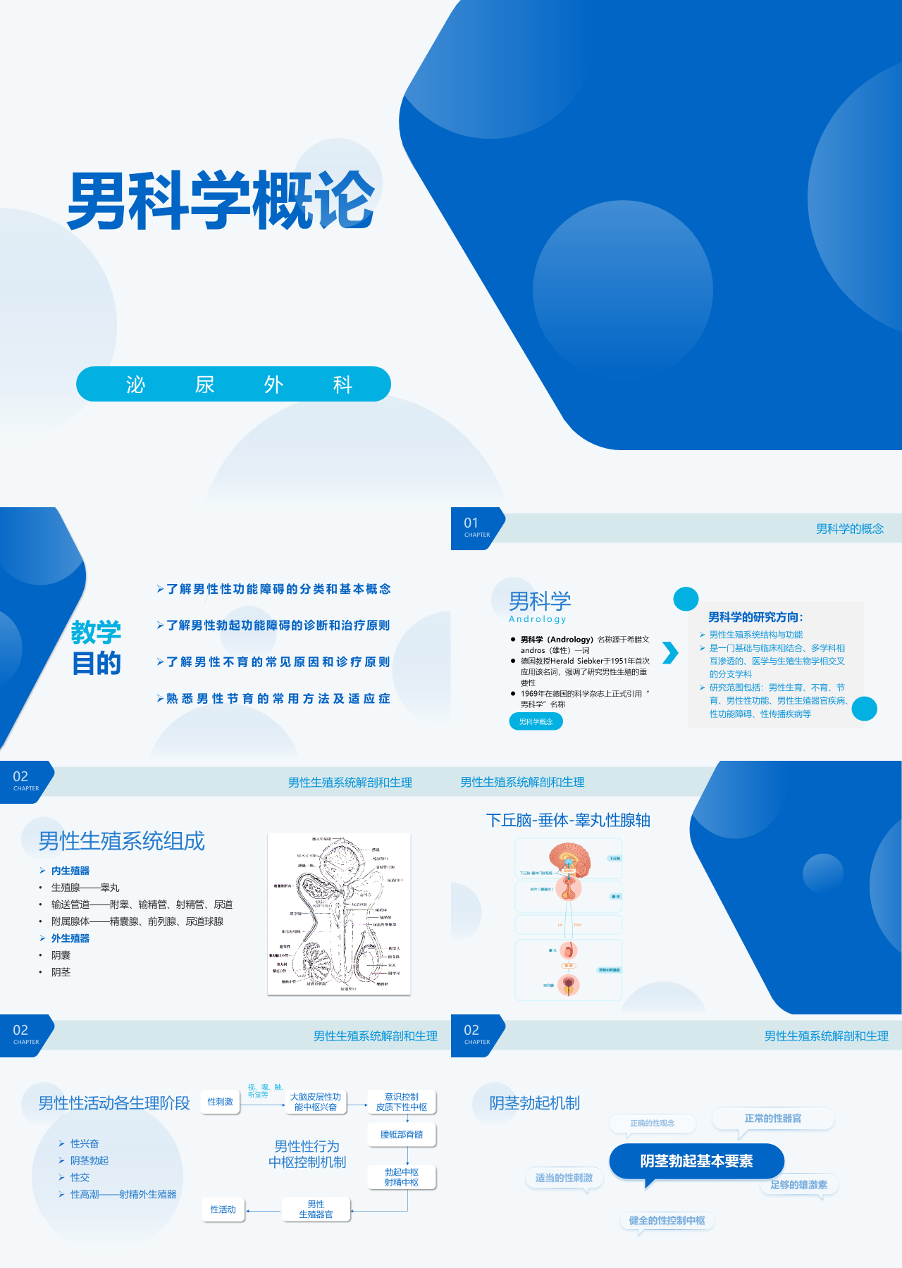 标准静态蓝色教学课件男科学概论