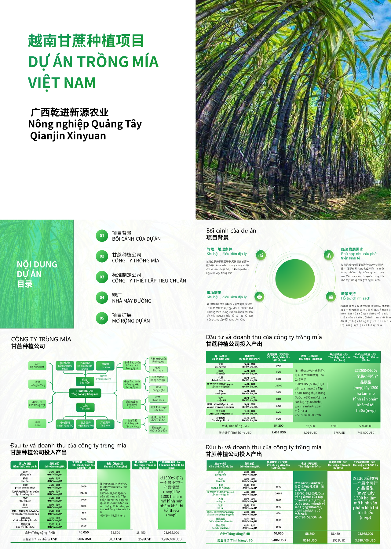 标准静态绿色商业计划书越南甘蔗种植项目方案